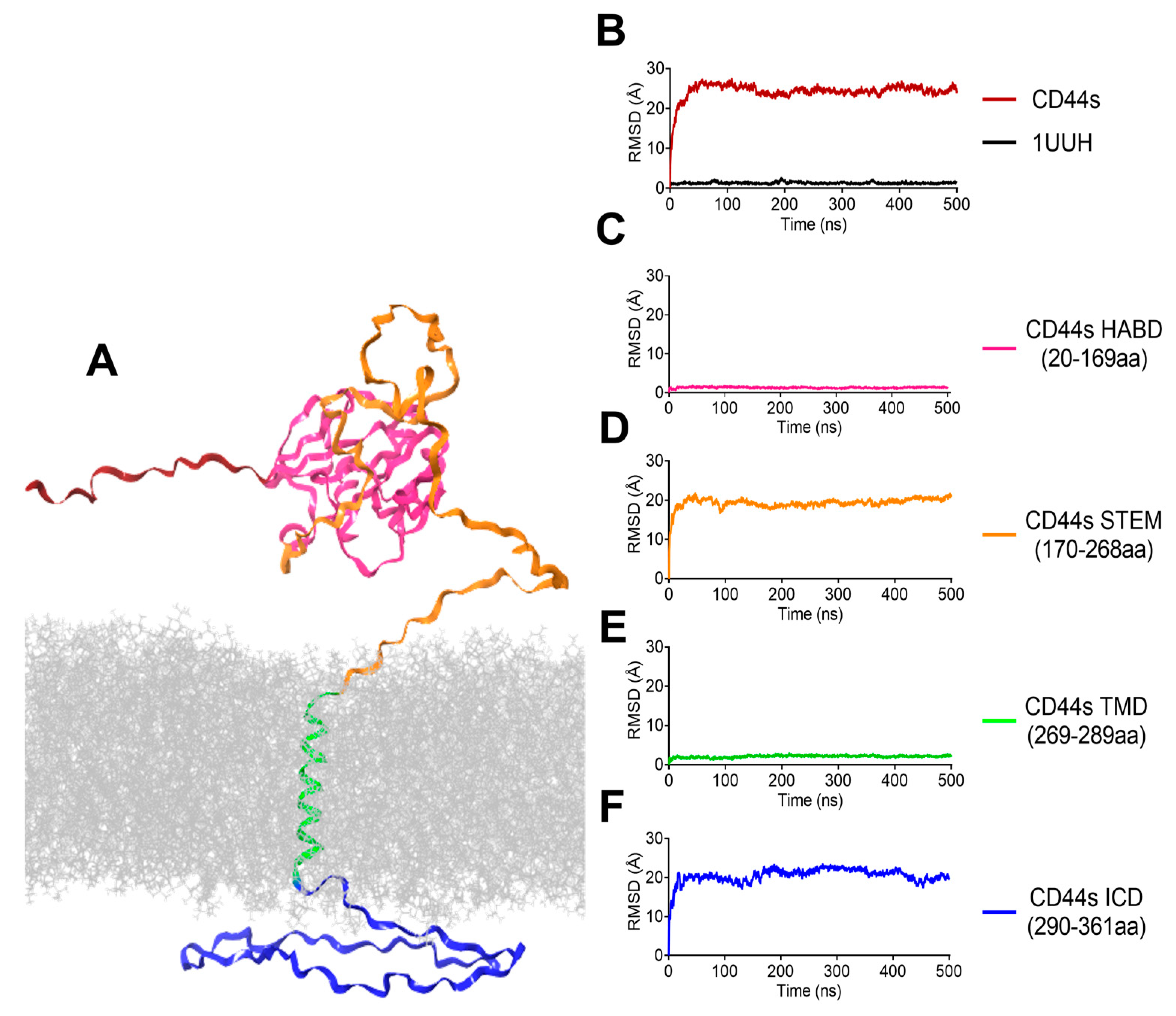 Biomolecules 13 01047 g004