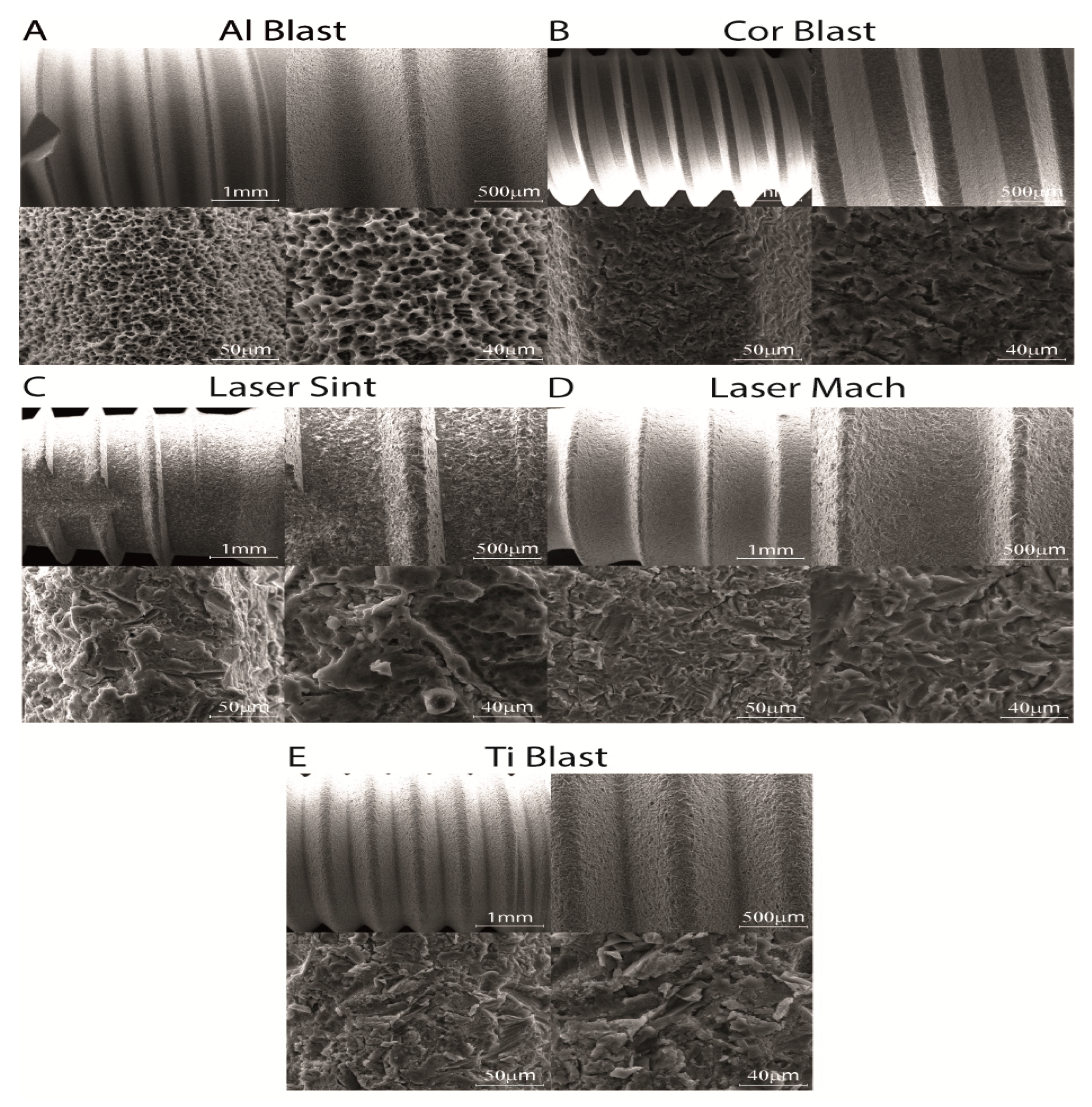 Biomolecules 13 01048 g001