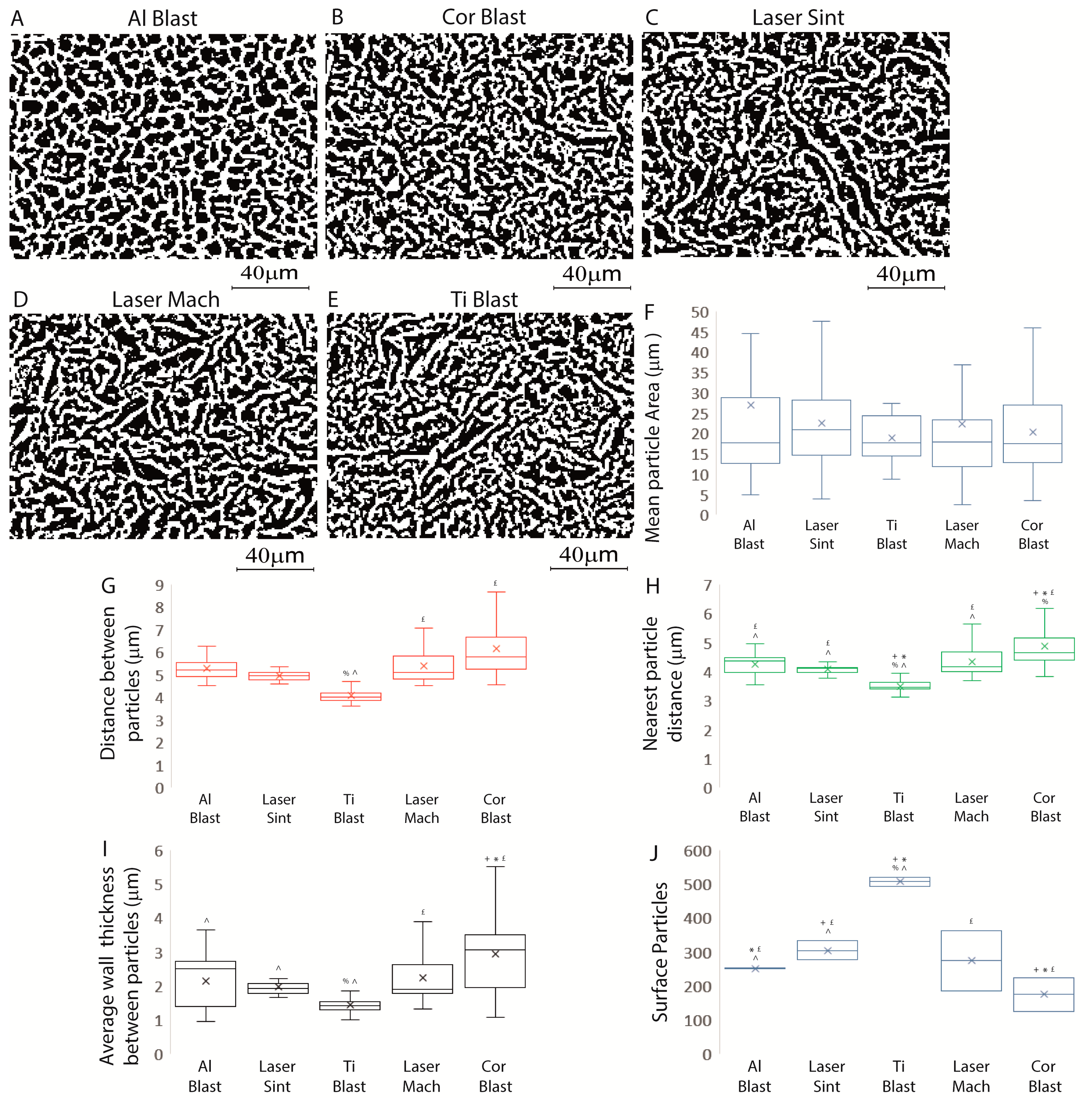 Biomolecules 13 01048 g002