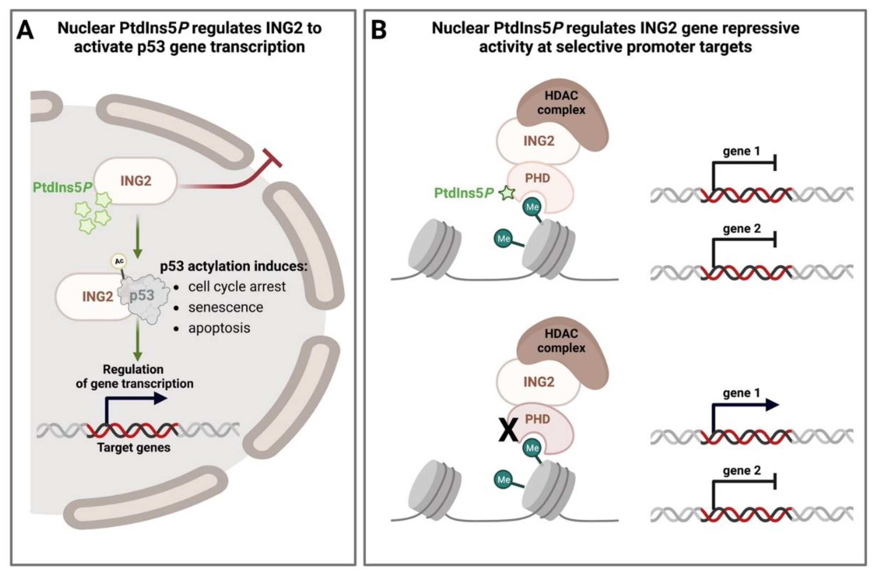 Biomolecules 13 01049 g003