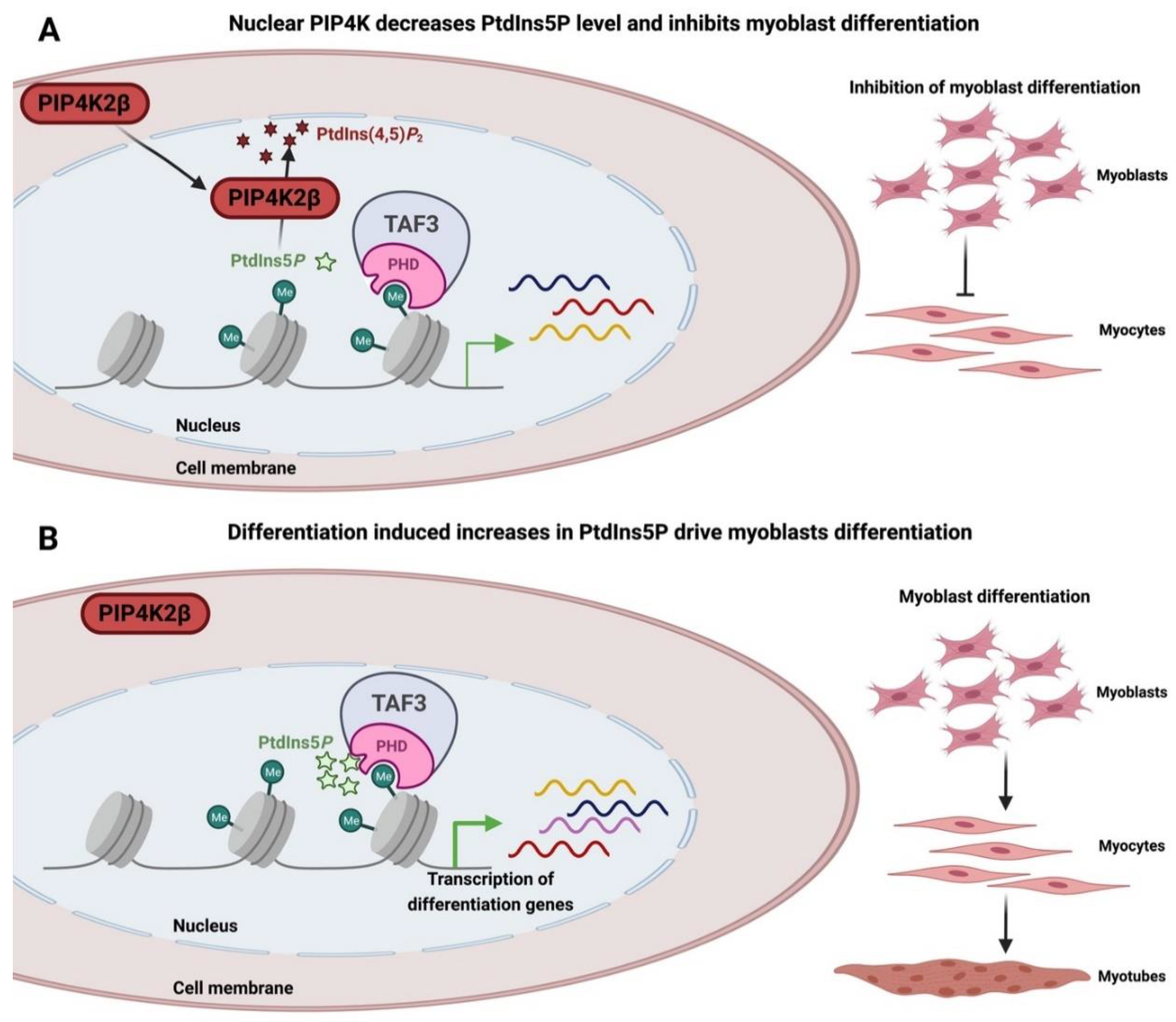 Biomolecules 13 01049 g004