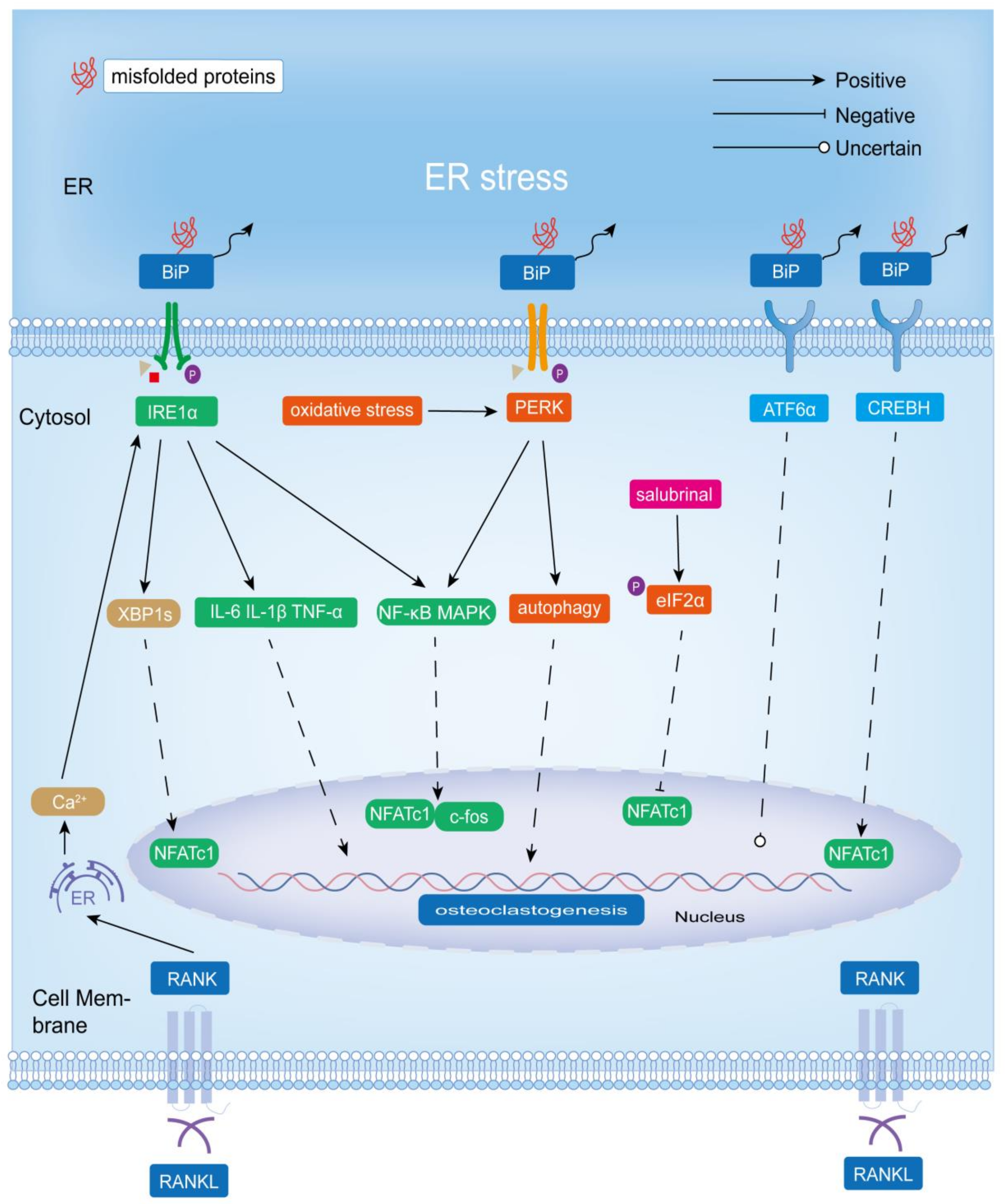 Biomolecules 13 01050 g003 Biomolecules 13 01050 g003