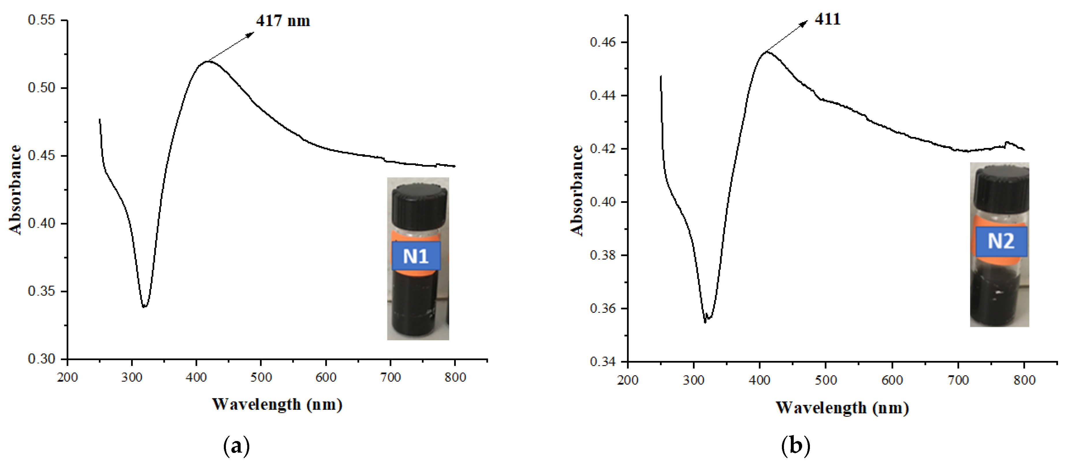 Biomolecules 13 01054 g001