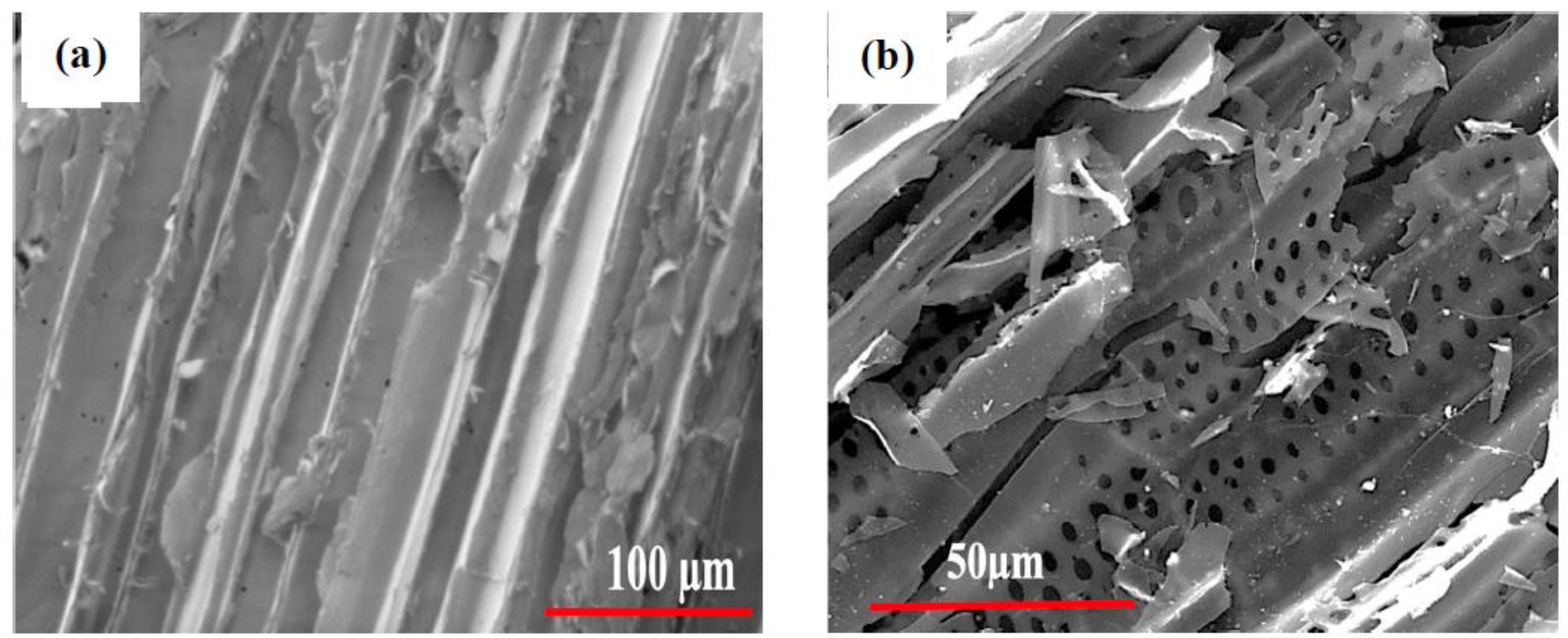 Biomolecules 13 01054 g002a