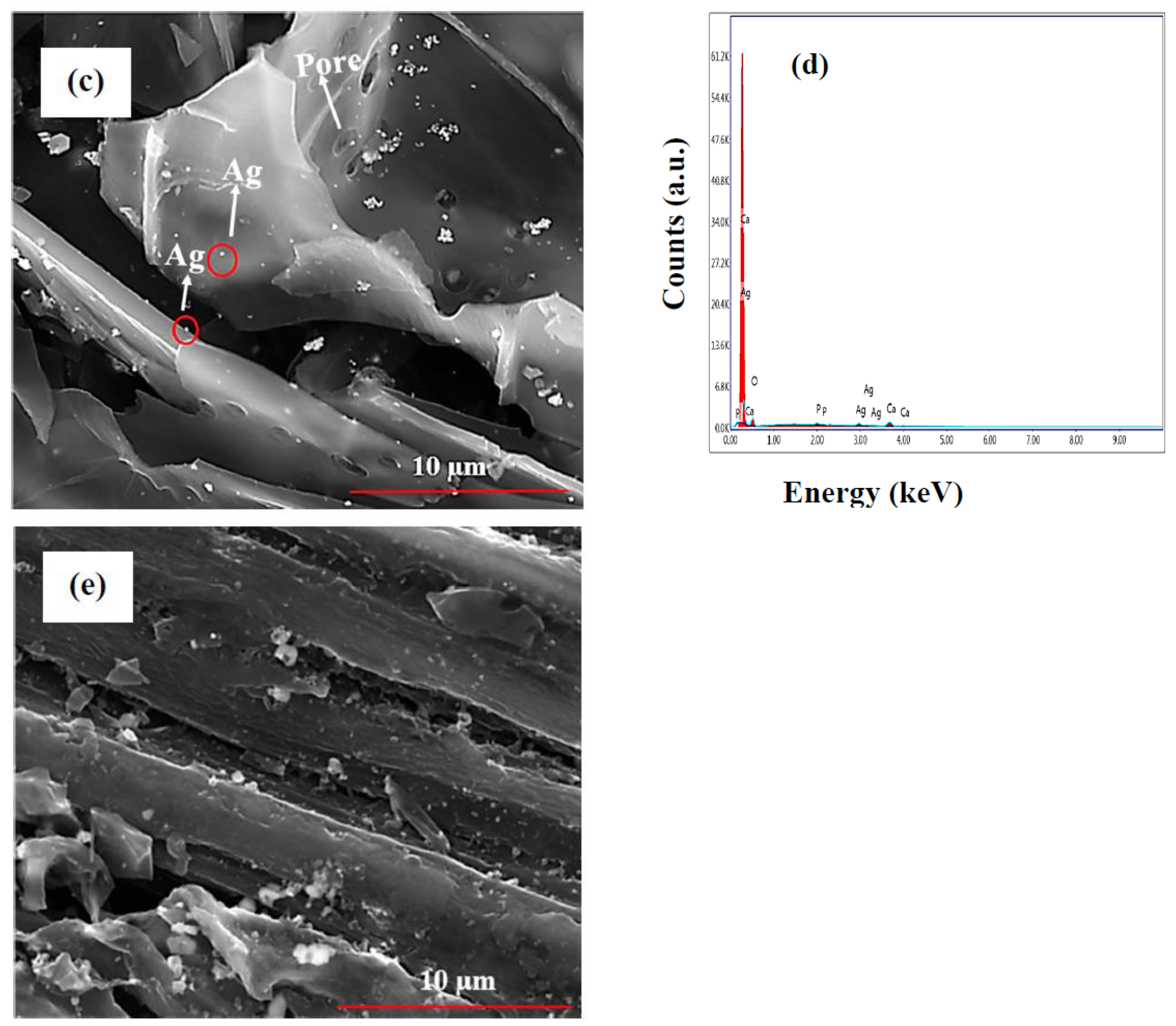 Biomolecules 13 01054 g002b