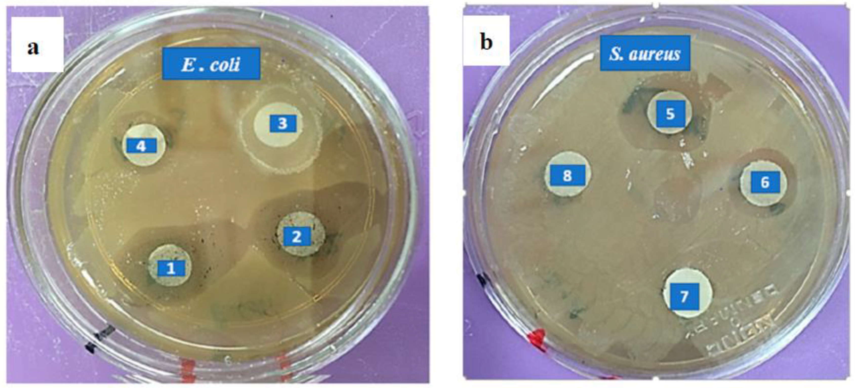 Biomolecules 13 01054 g008