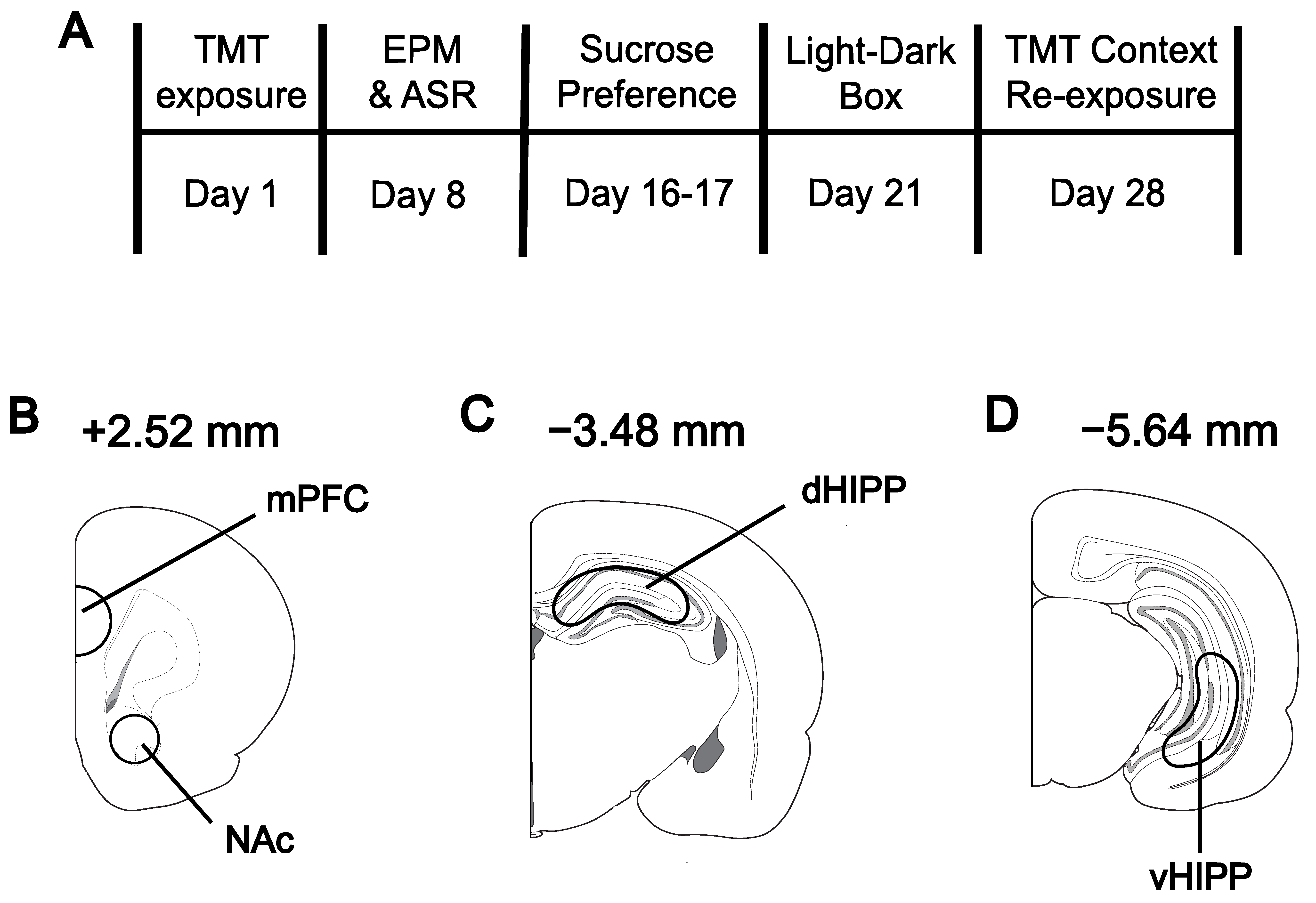 Biomolecules 13 01055 g001 Biomolecules 13 01055 g001