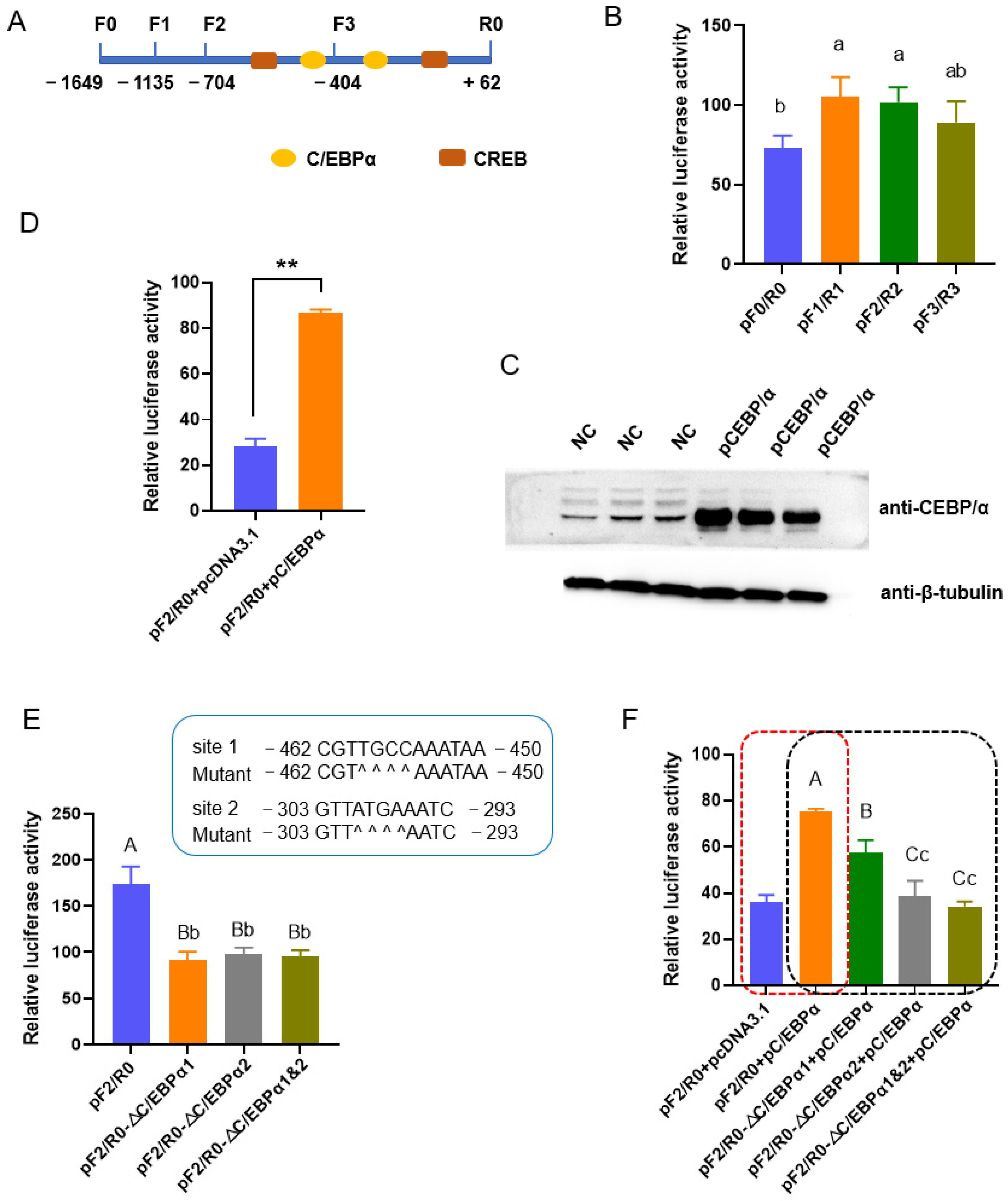 Biomolecules 13 01057 g001a