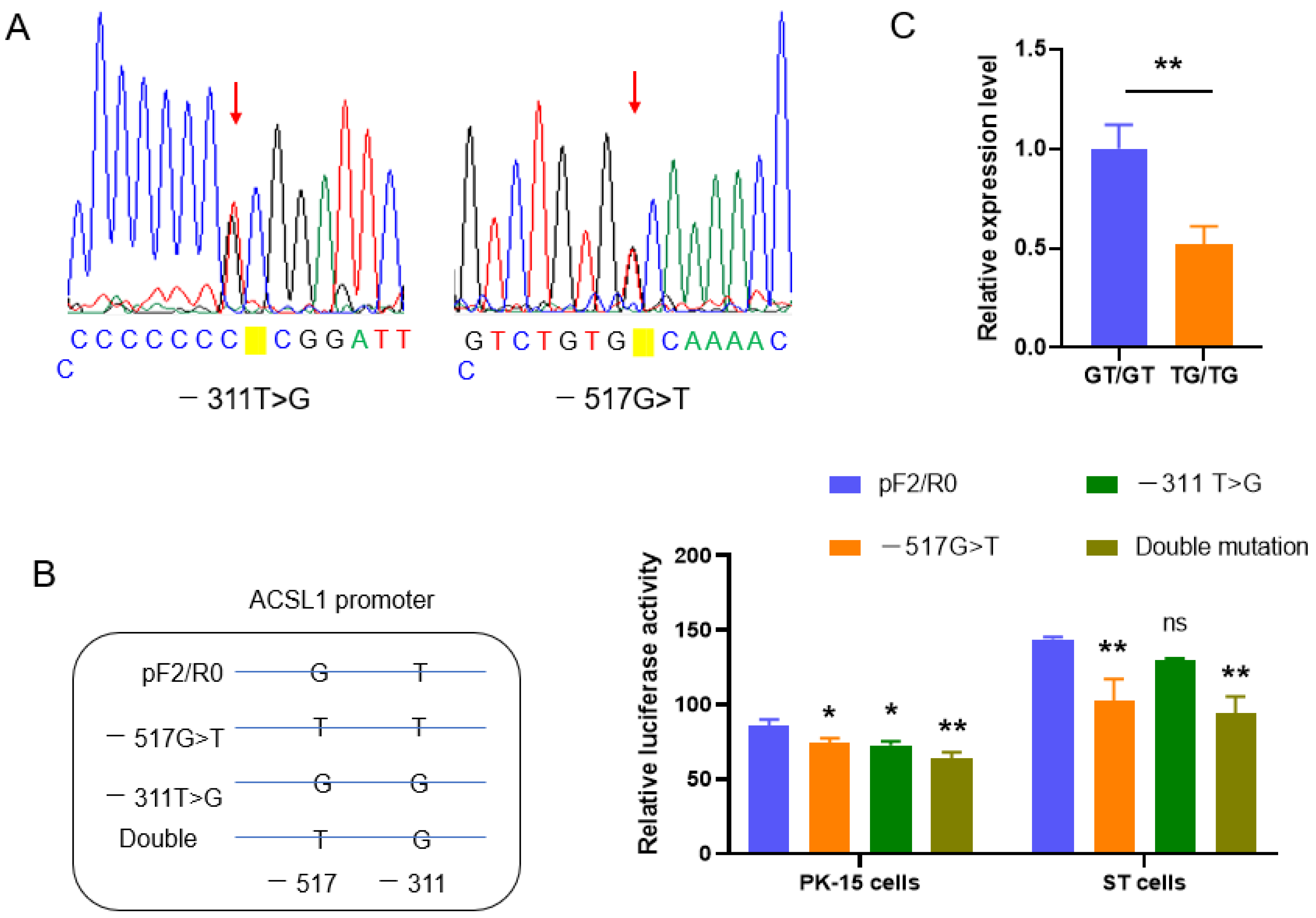 Biomolecules 13 01057 g004