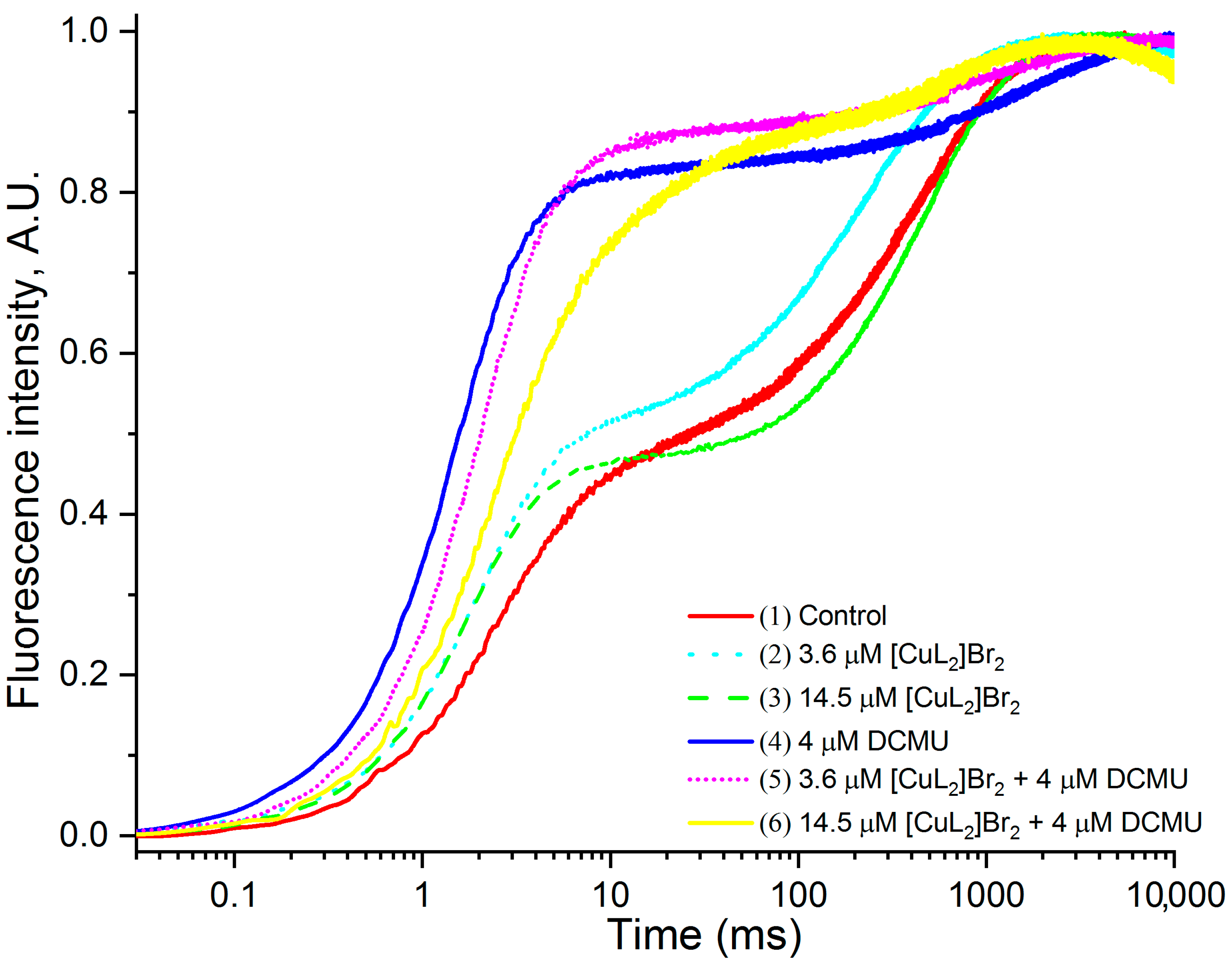 Biomolecules 13 01058 g004 Biomolecules 13 01058 g004