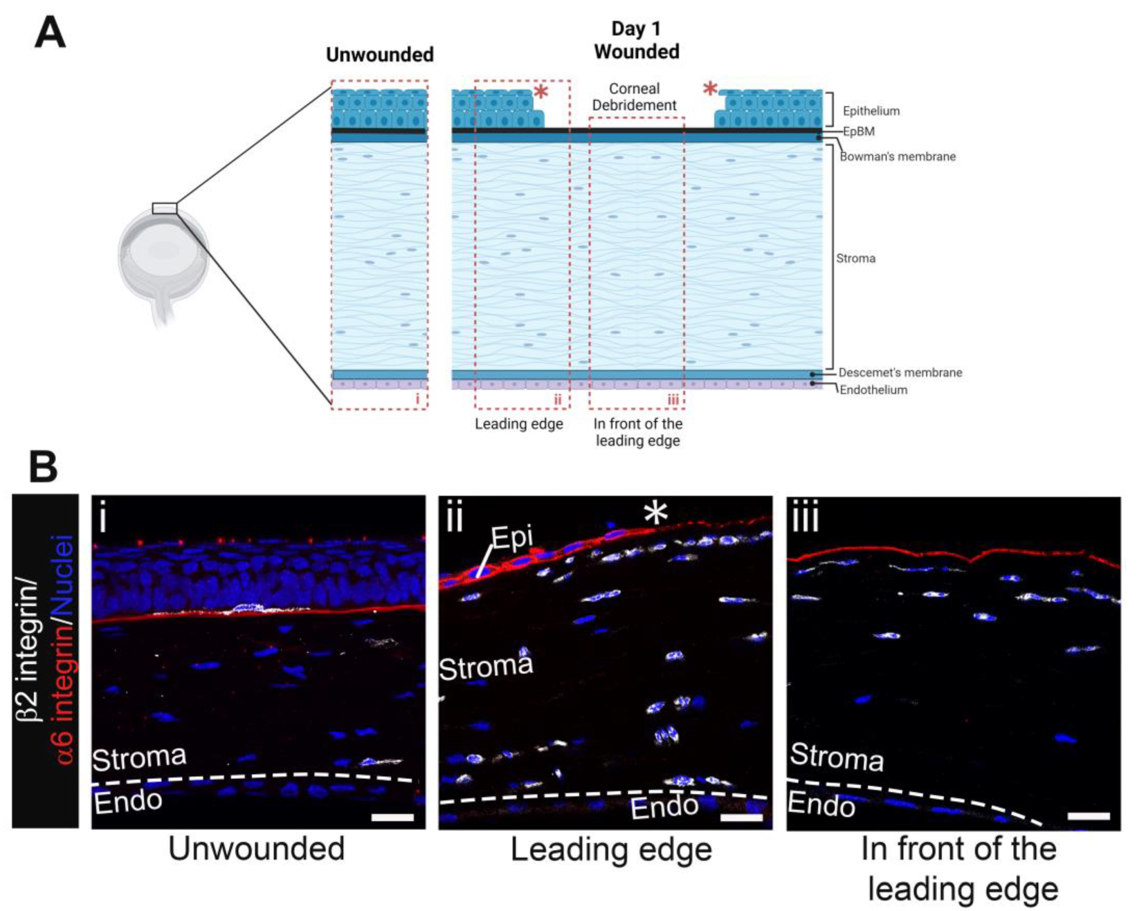 Biomolecules 13 01059 g001 Biomolecules 13 01059 g001