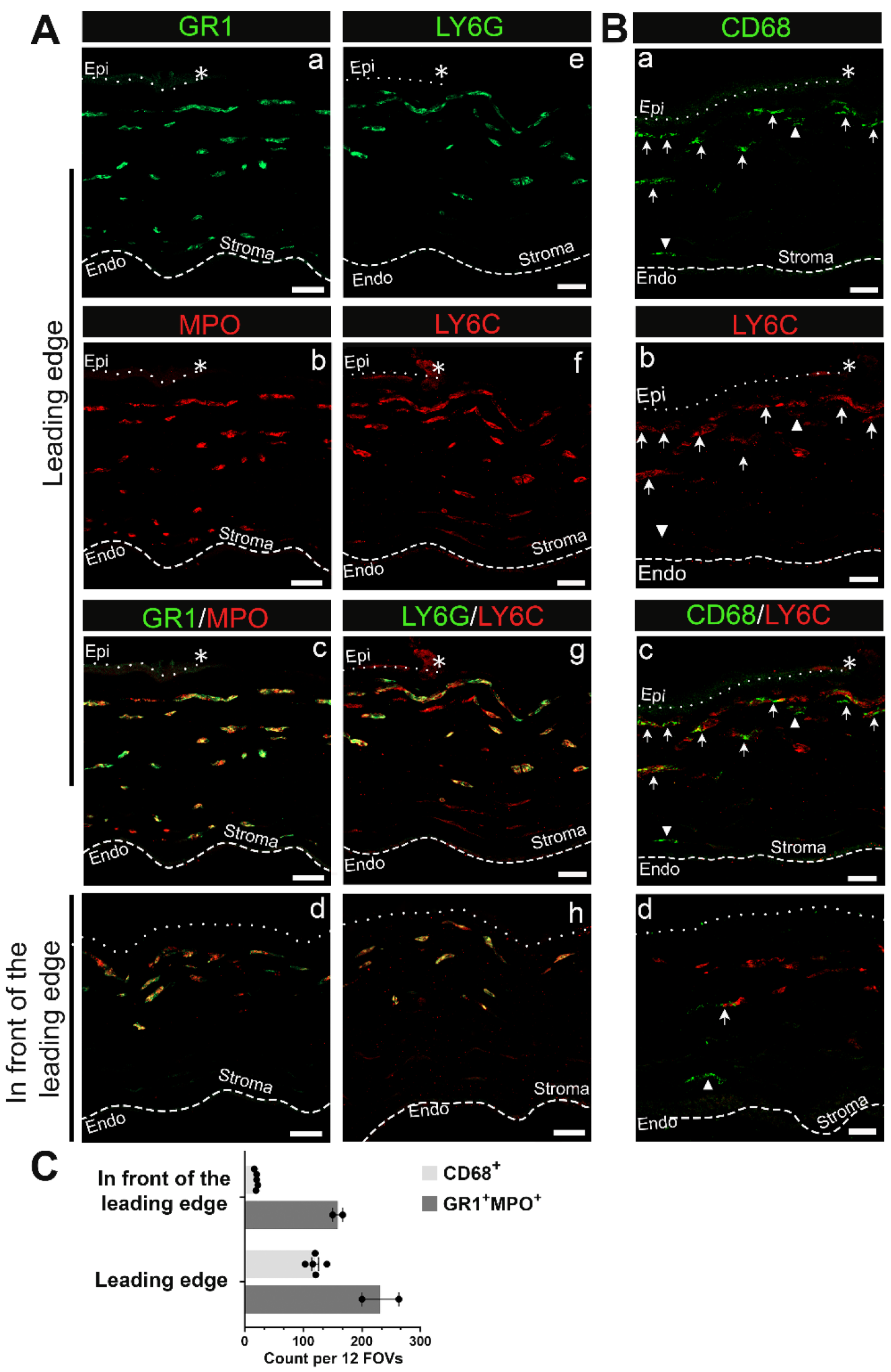 Biomolecules 13 01059 g002 Biomolecules 13 01059 g002