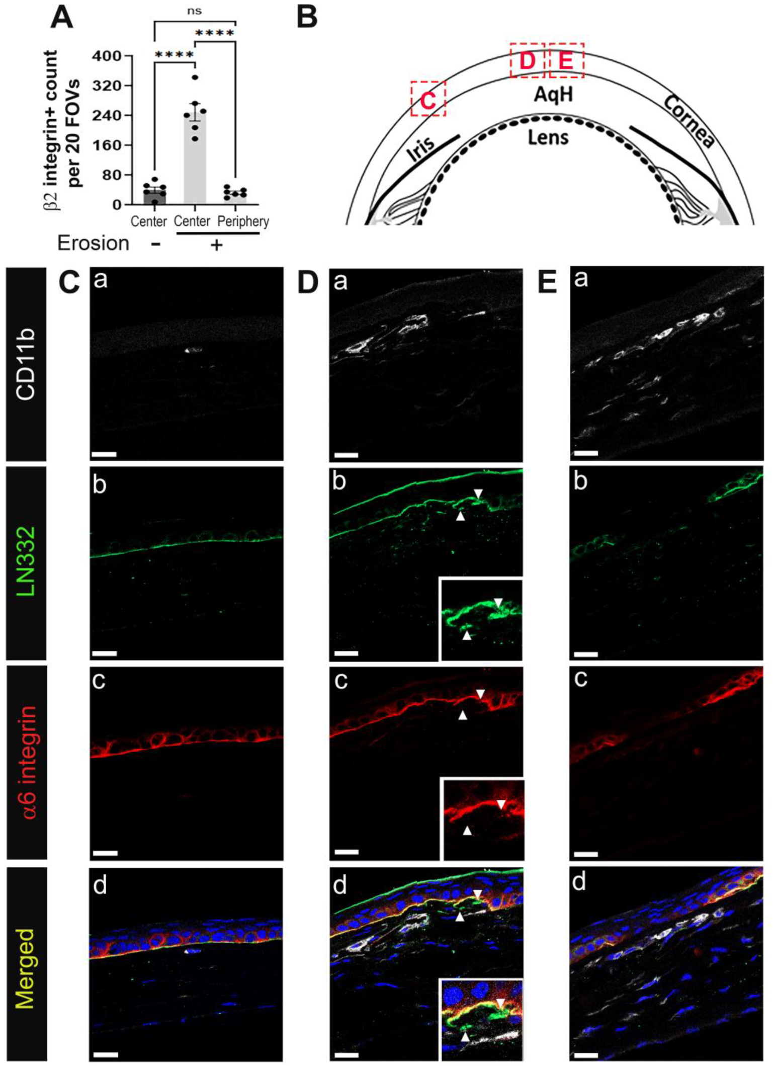 Biomolecules 13 01059 g003 Biomolecules 13 01059 g003