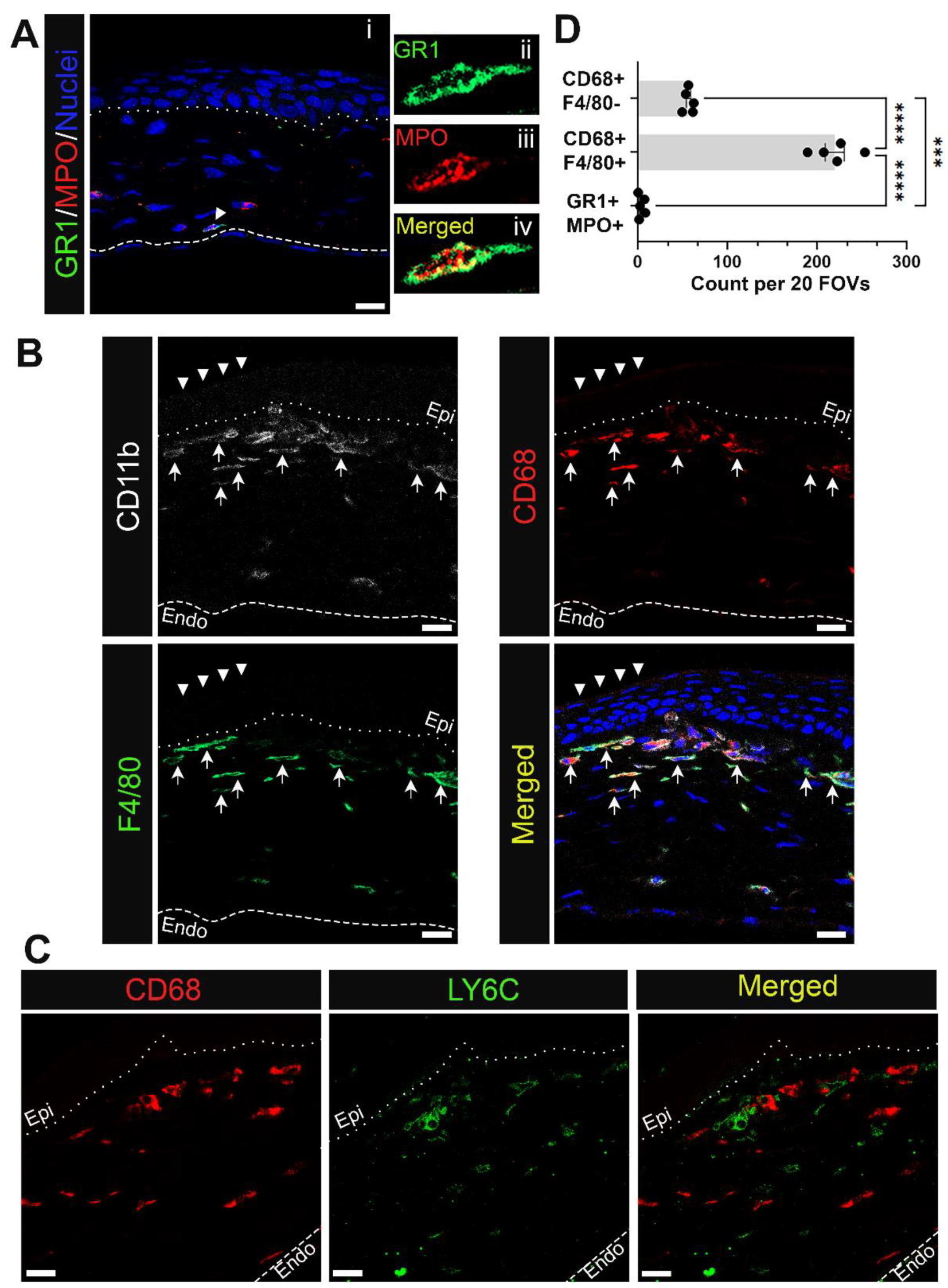 Biomolecules 13 01059 g004 Biomolecules 13 01059 g004