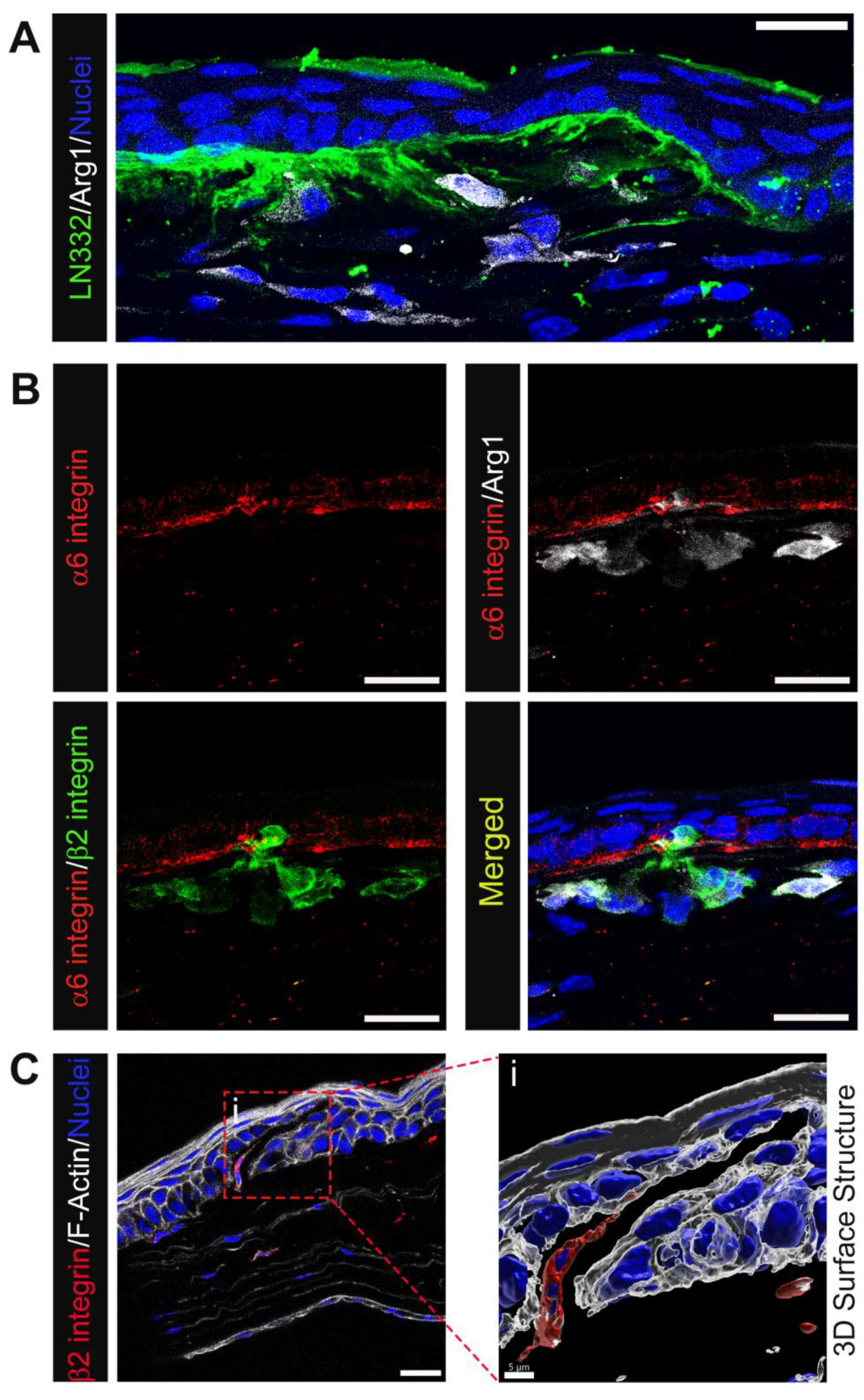 Biomolecules 13 01059 g006 Biomolecules 13 01059 g006
