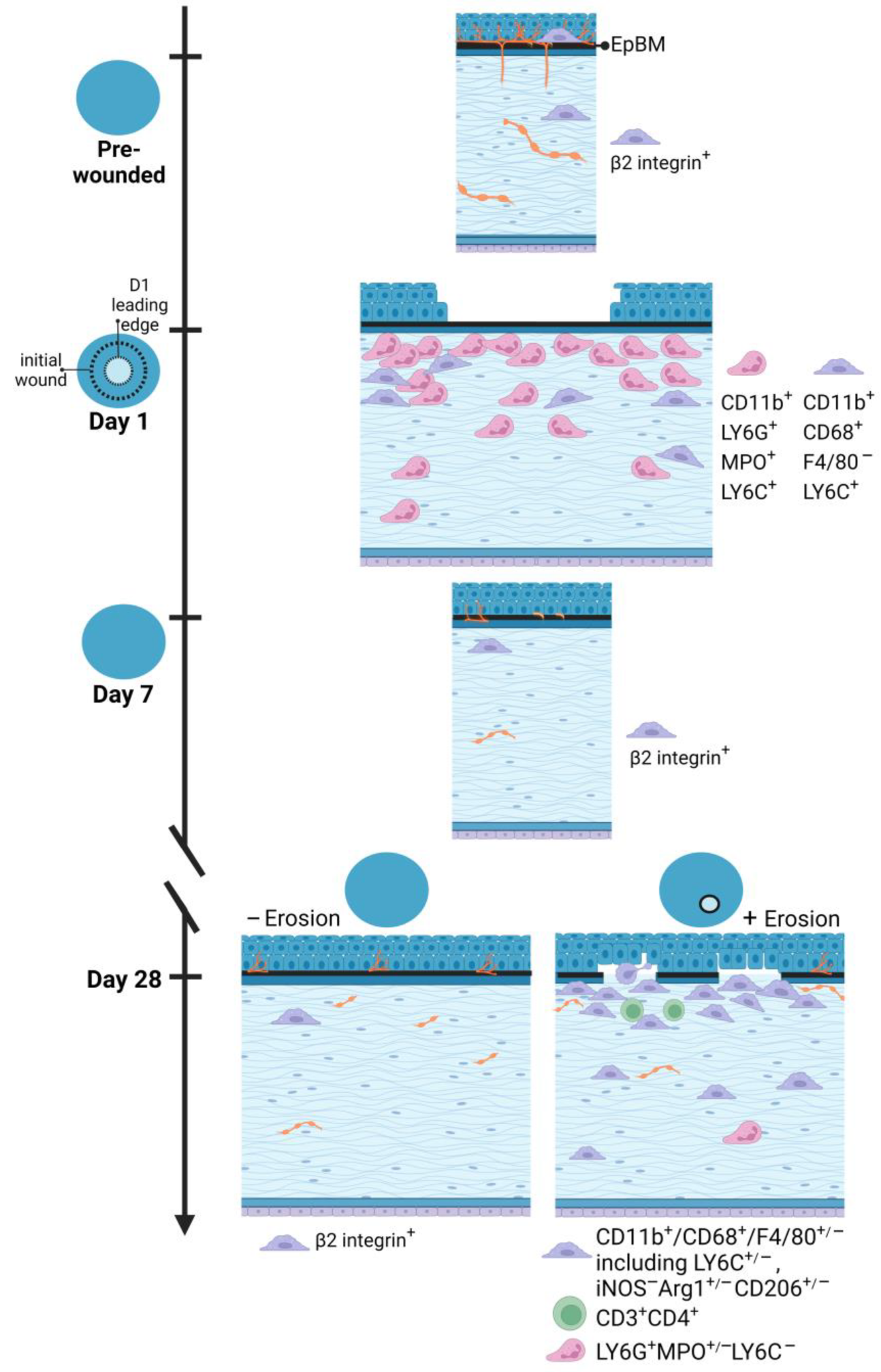 Biomolecules 13 01059 g009 Biomolecules 13 01059 g009