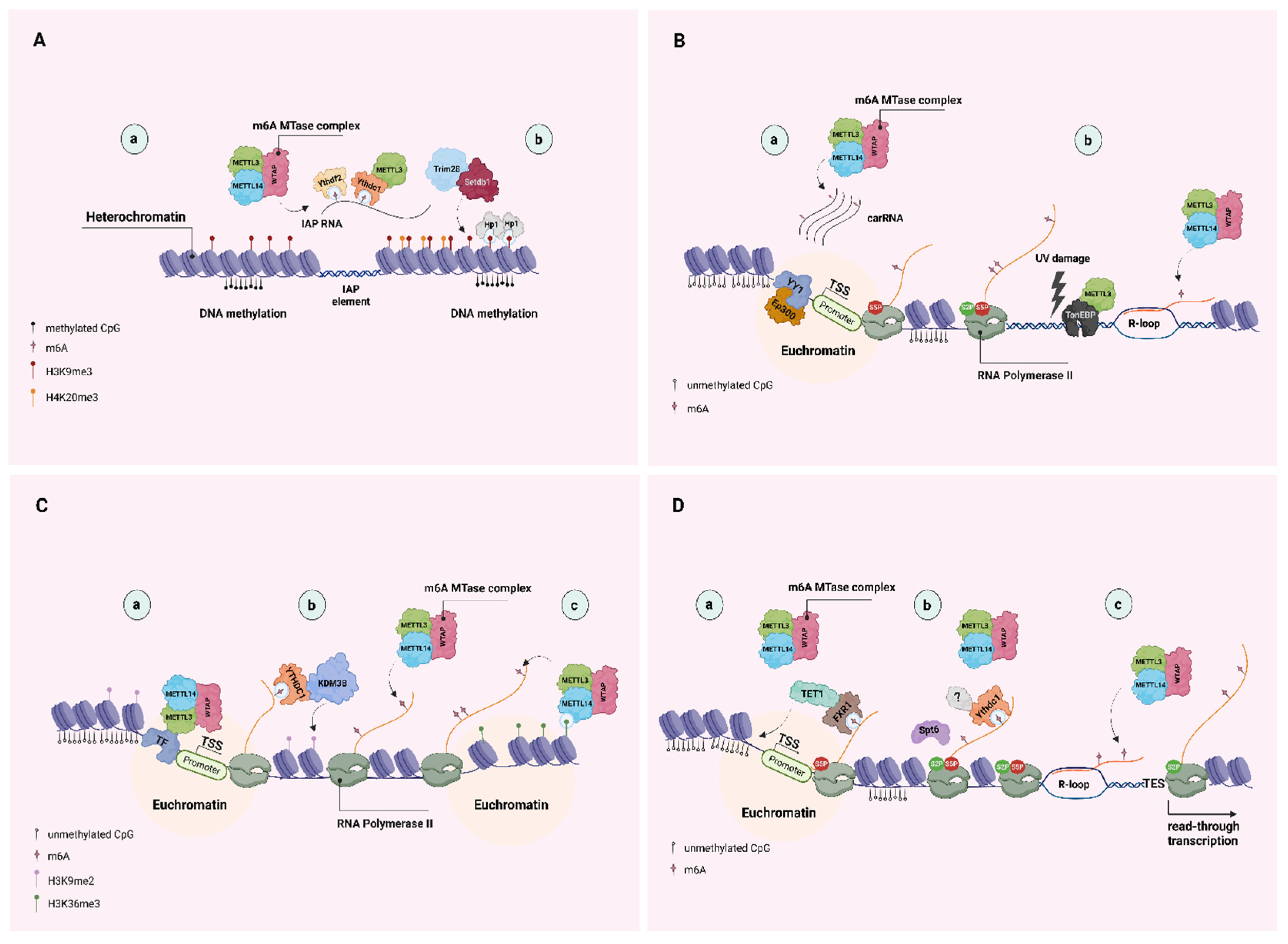 Biomolecules 13 01060 g001