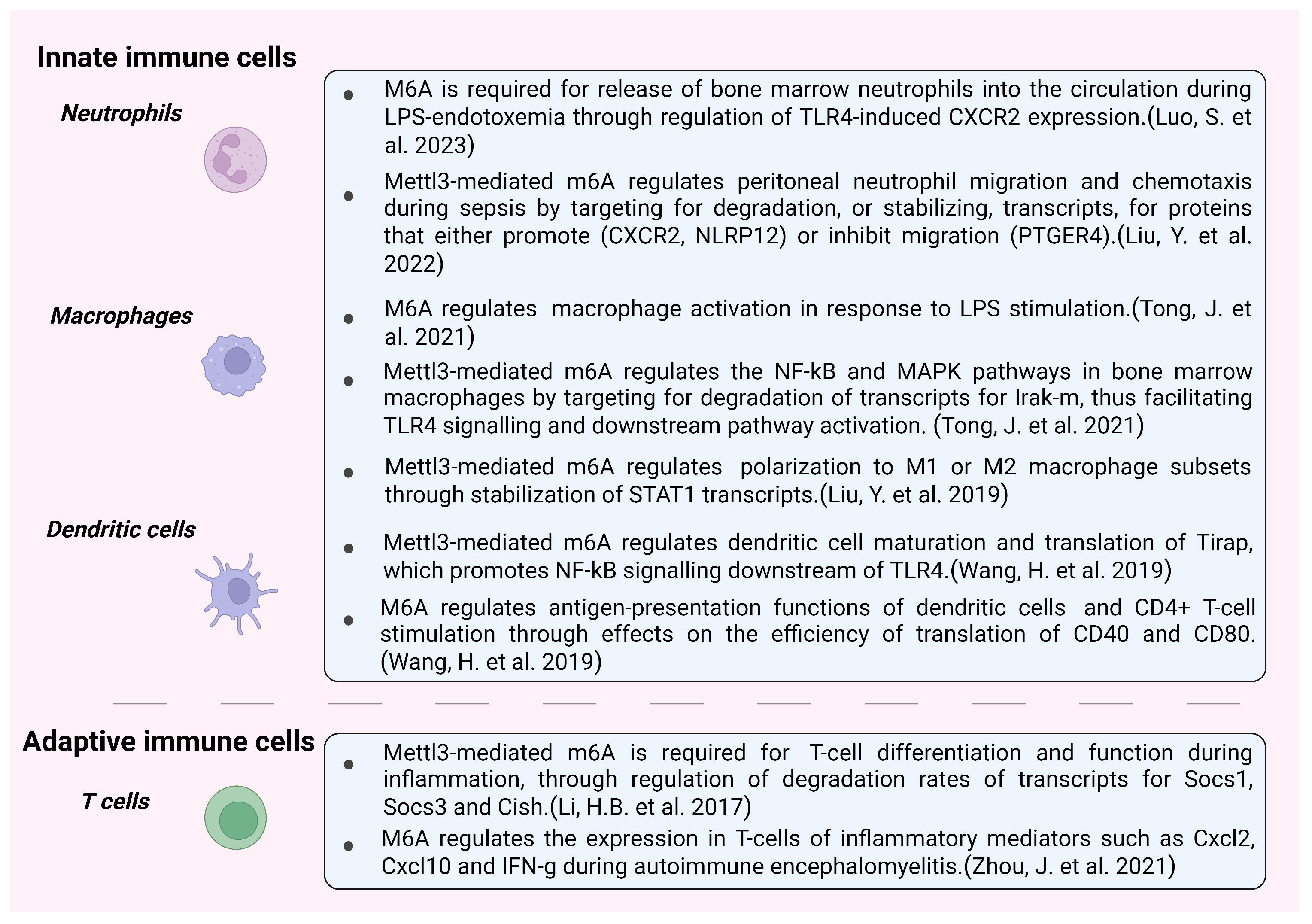 Biomolecules 13 01060 g003