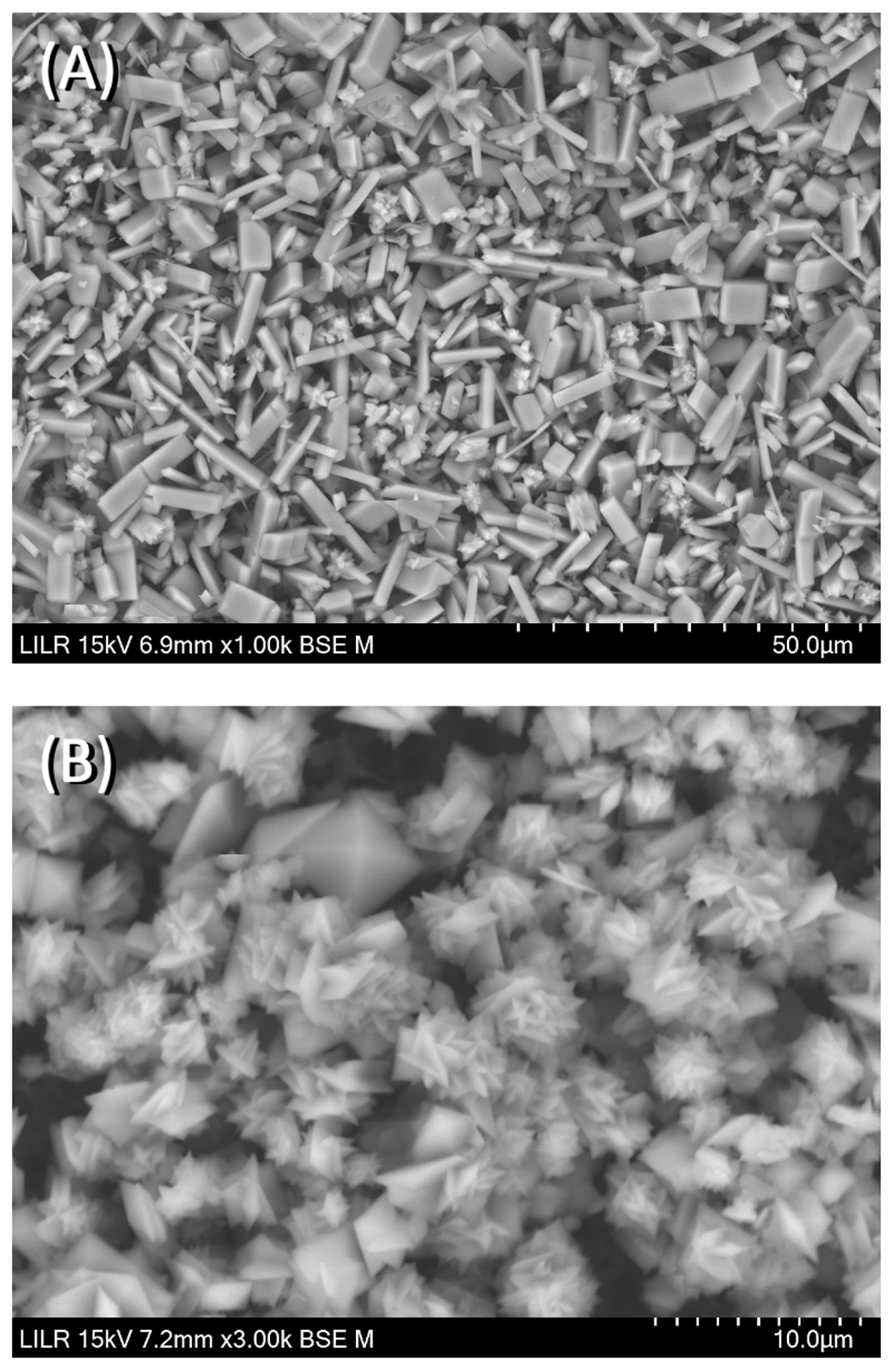 Biomolecules 13 01061 g007