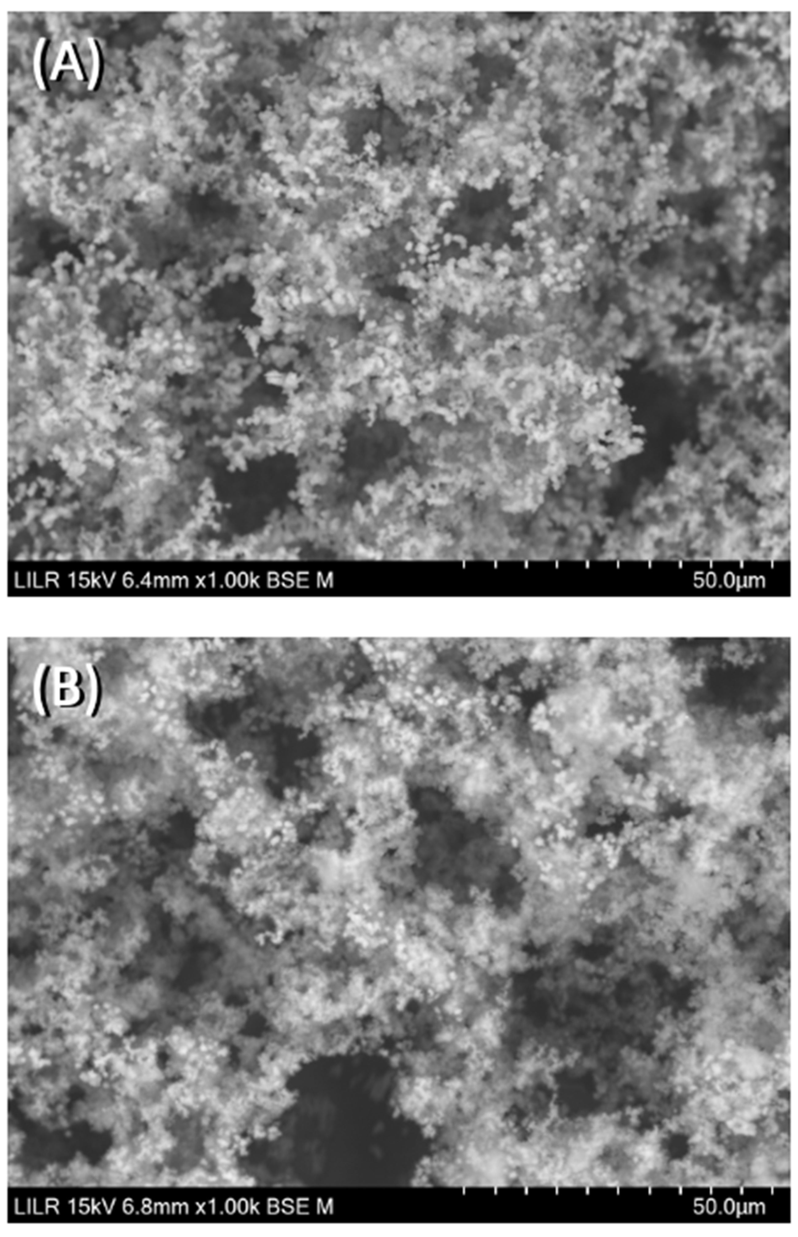 Biomolecules 13 01061 g009