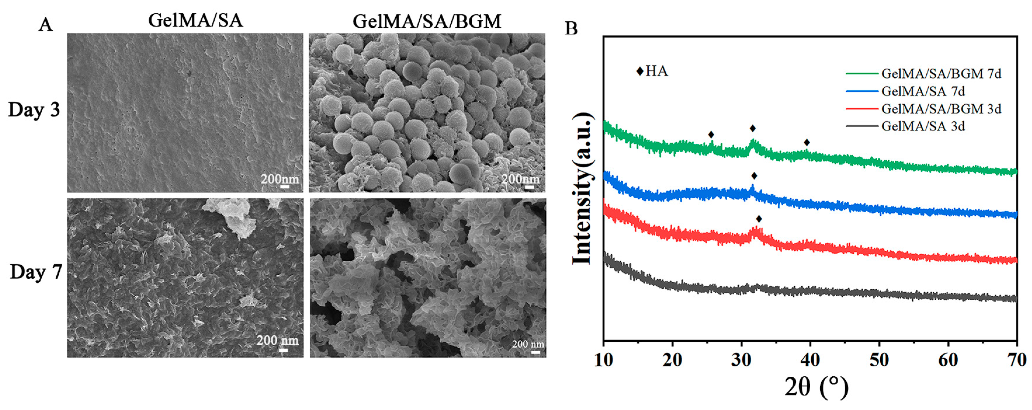 Biomolecules 13 01062 g003