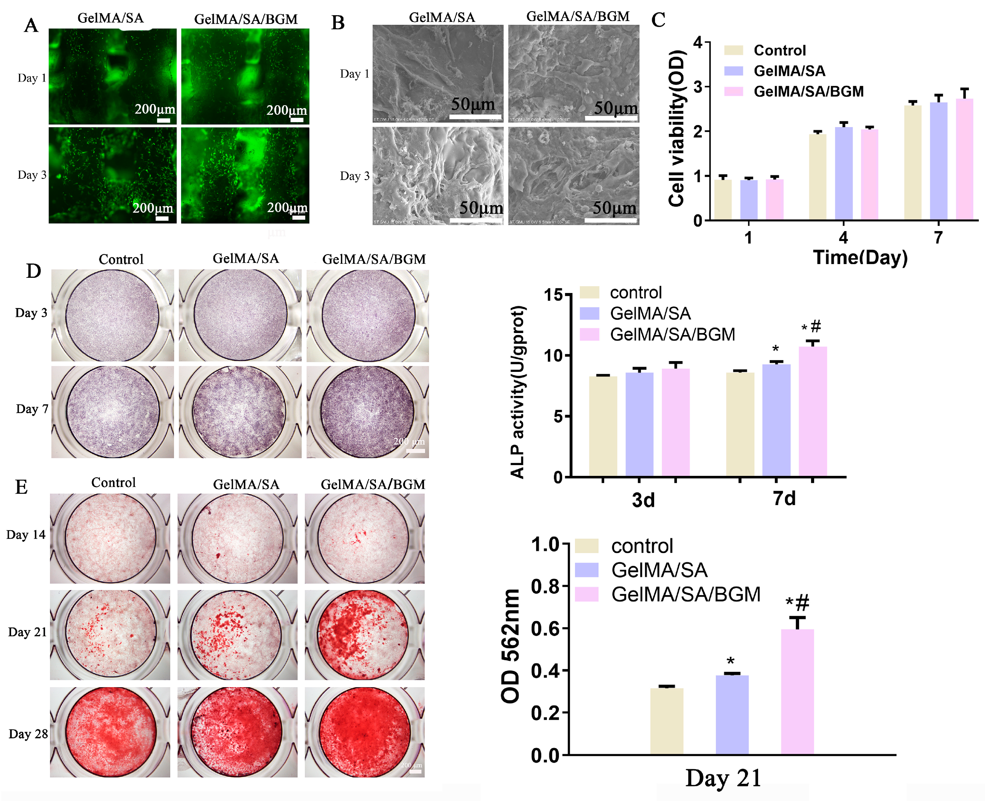 Biomolecules 13 01062 g004