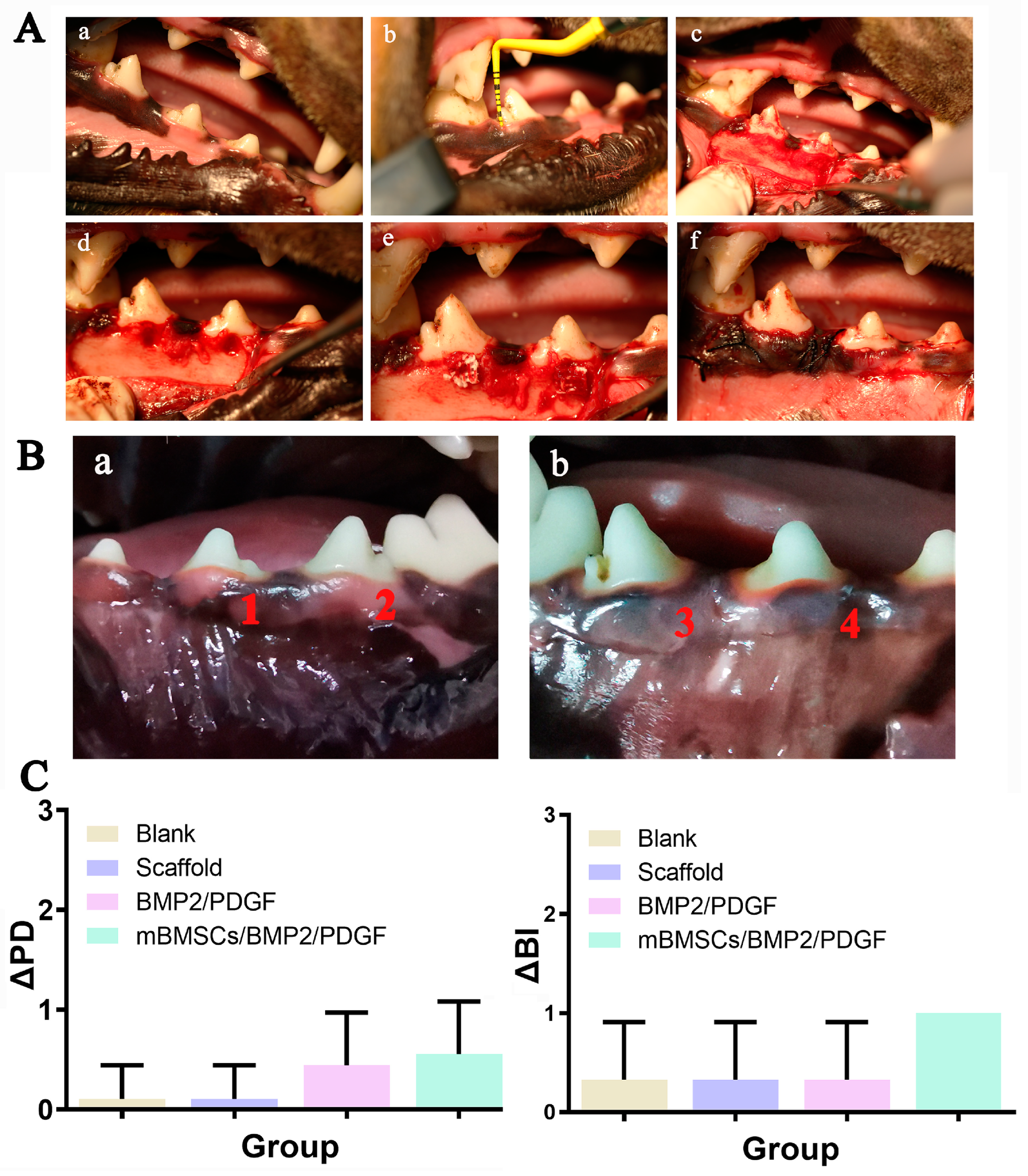 Biomolecules 13 01062 g008