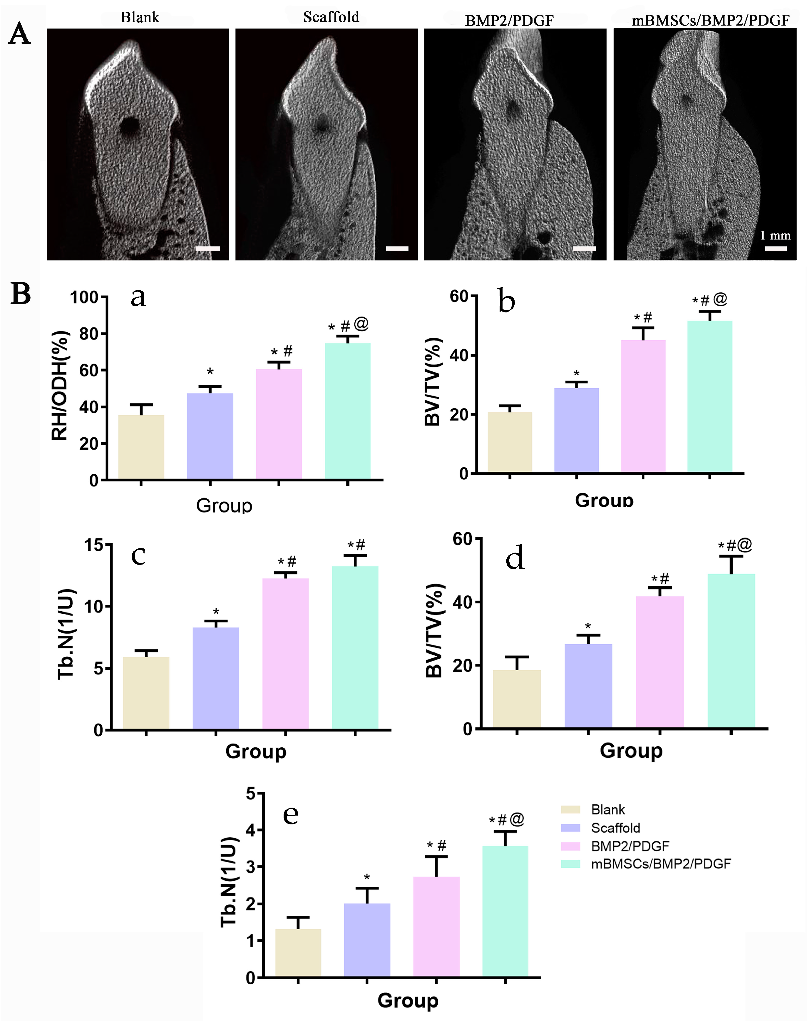 Biomolecules 13 01062 g009
