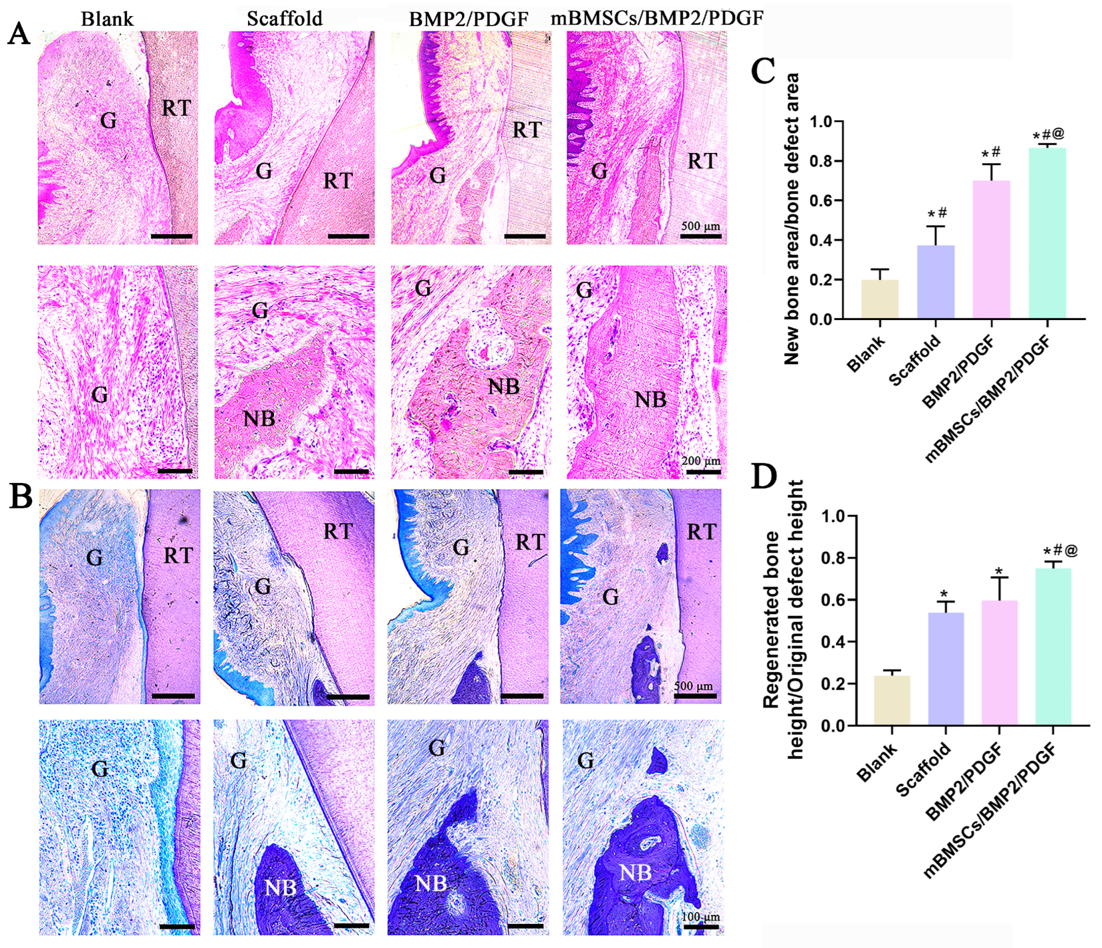 Biomolecules 13 01062 g010