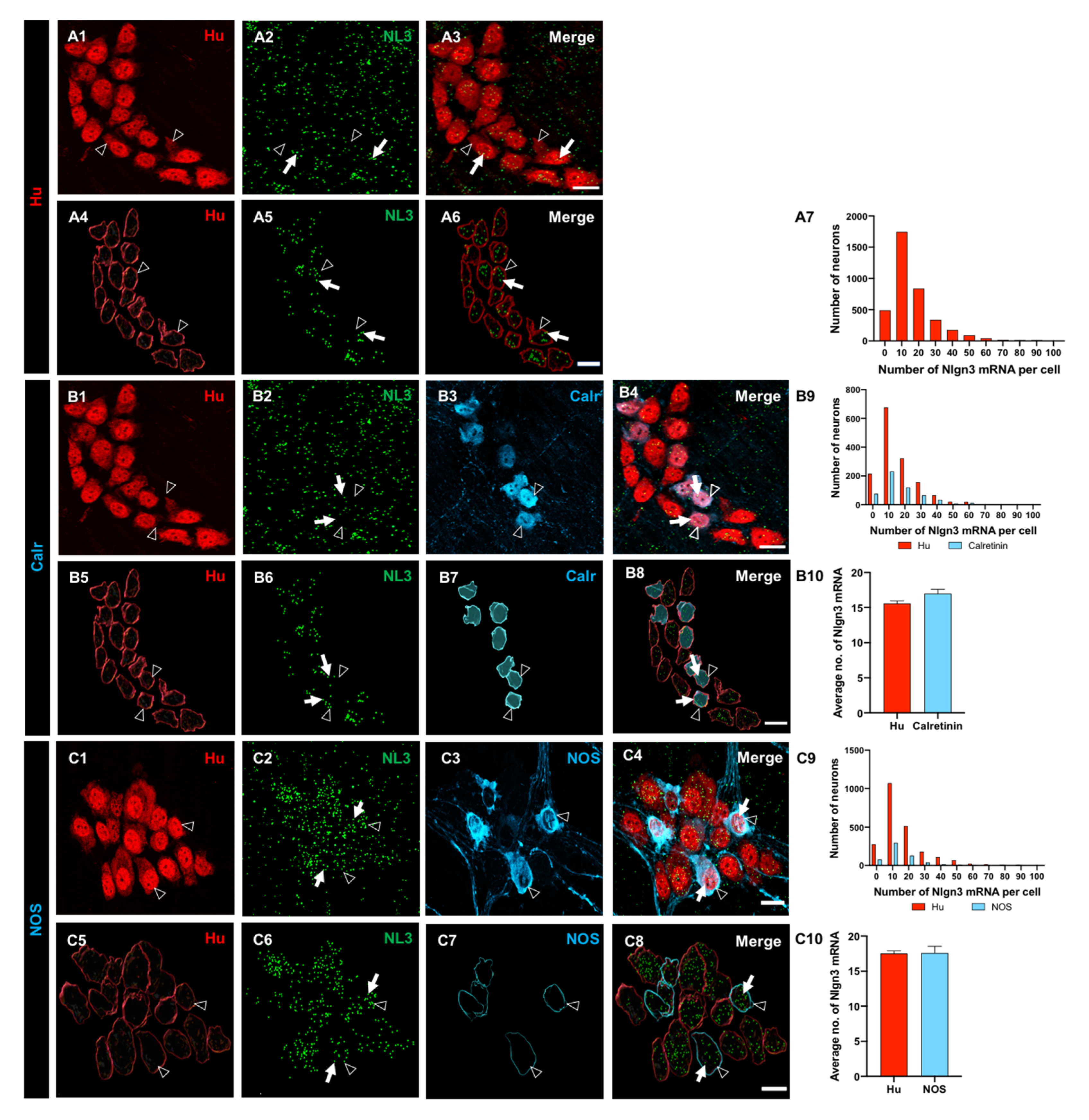 Biomolecules 13 01063 g002 Biomolecules 13 01063 g002