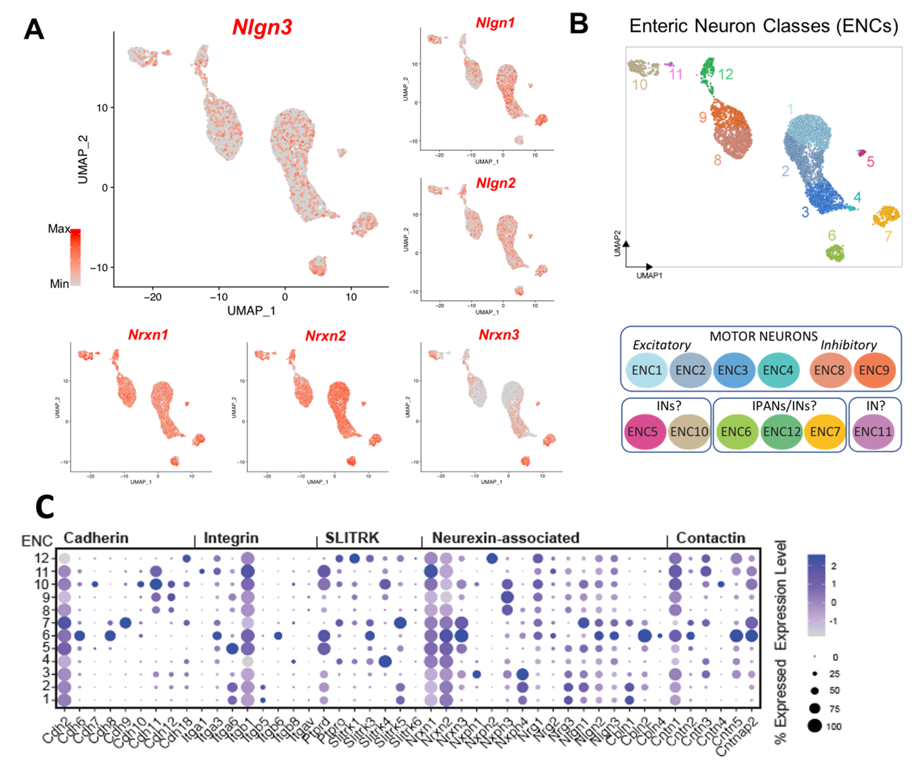 Biomolecules 13 01063 g004 Biomolecules 13 01063 g004