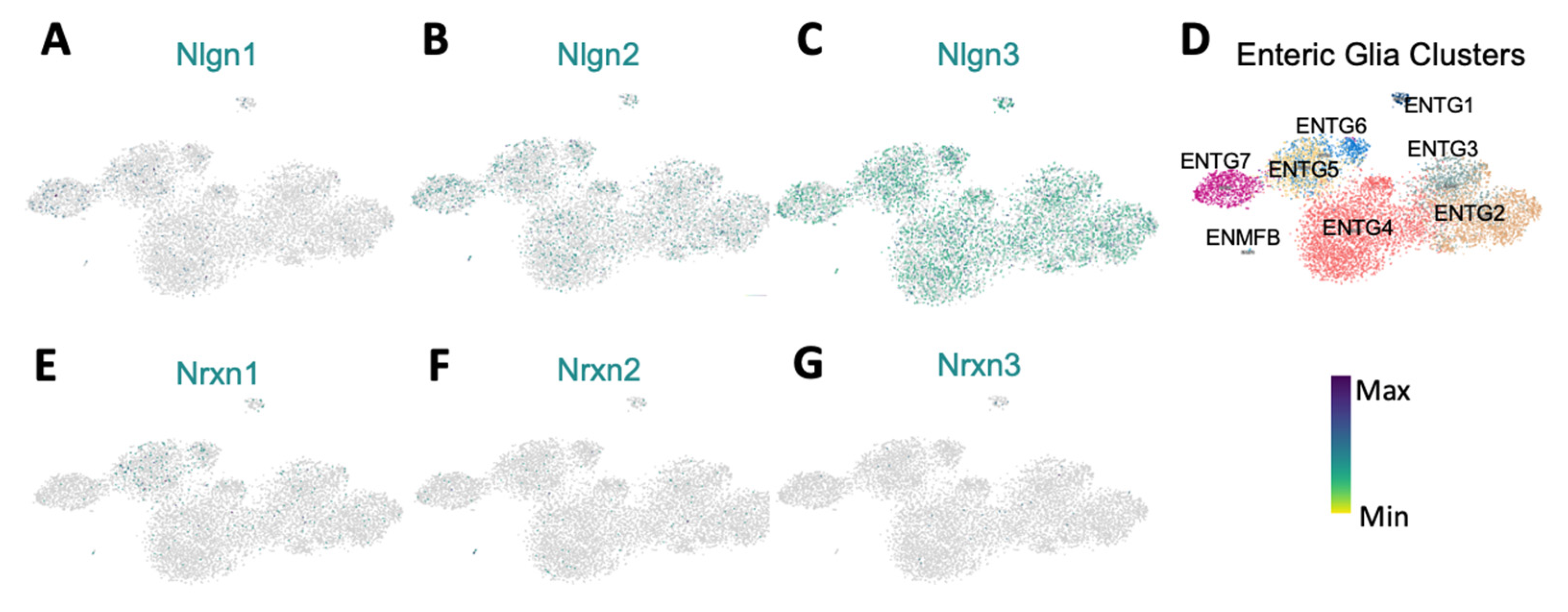Biomolecules 13 01063 g005 Biomolecules 13 01063 g005