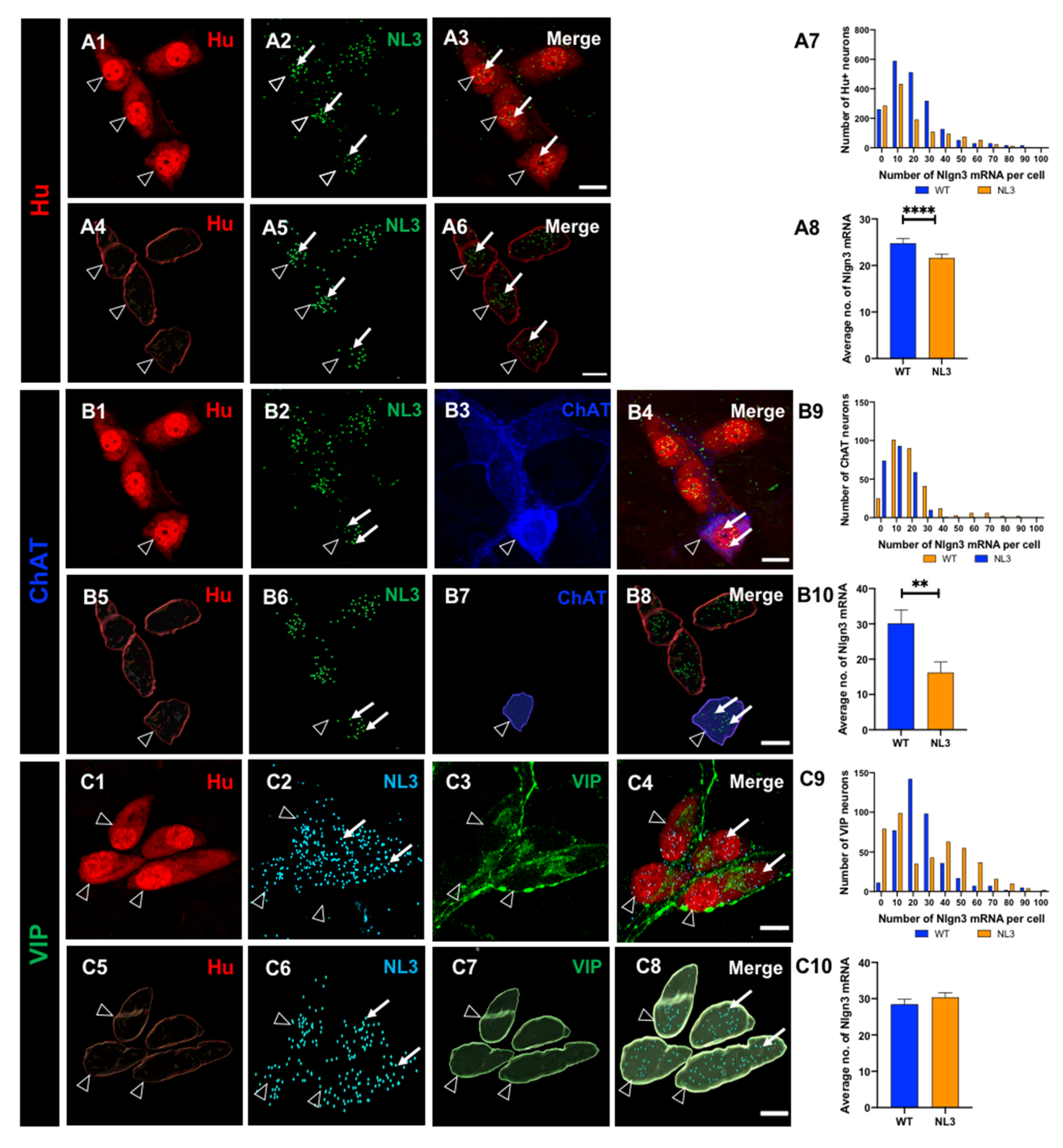 Biomolecules 13 01063 g006 Biomolecules 13 01063 g006