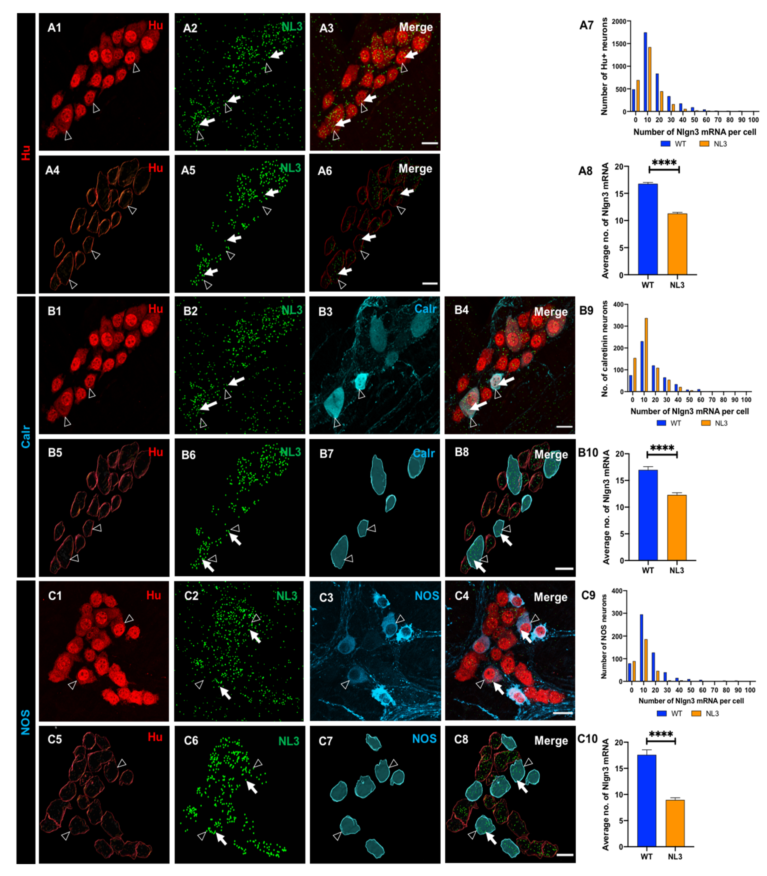Biomolecules 13 01063 g007 Biomolecules 13 01063 g007