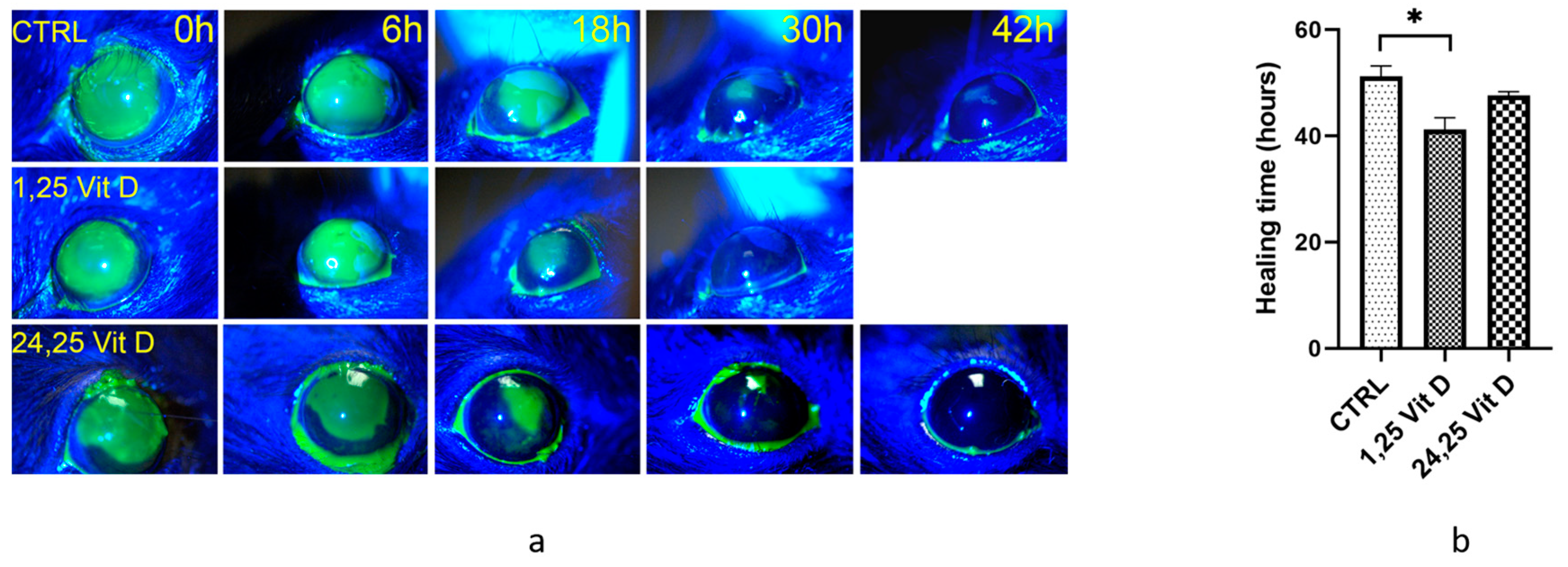 Biomolecules 13 01065 g002 Biomolecules 13 01065 g002