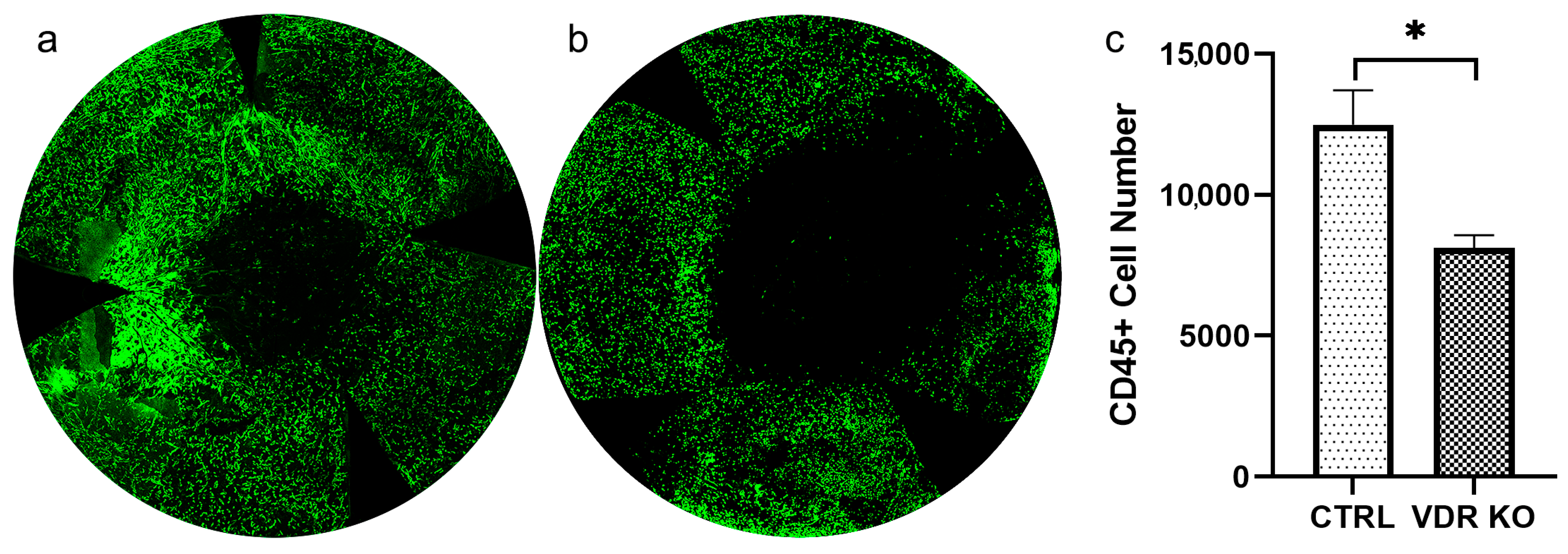Biomolecules 13 01065 g008 Biomolecules 13 01065 g008