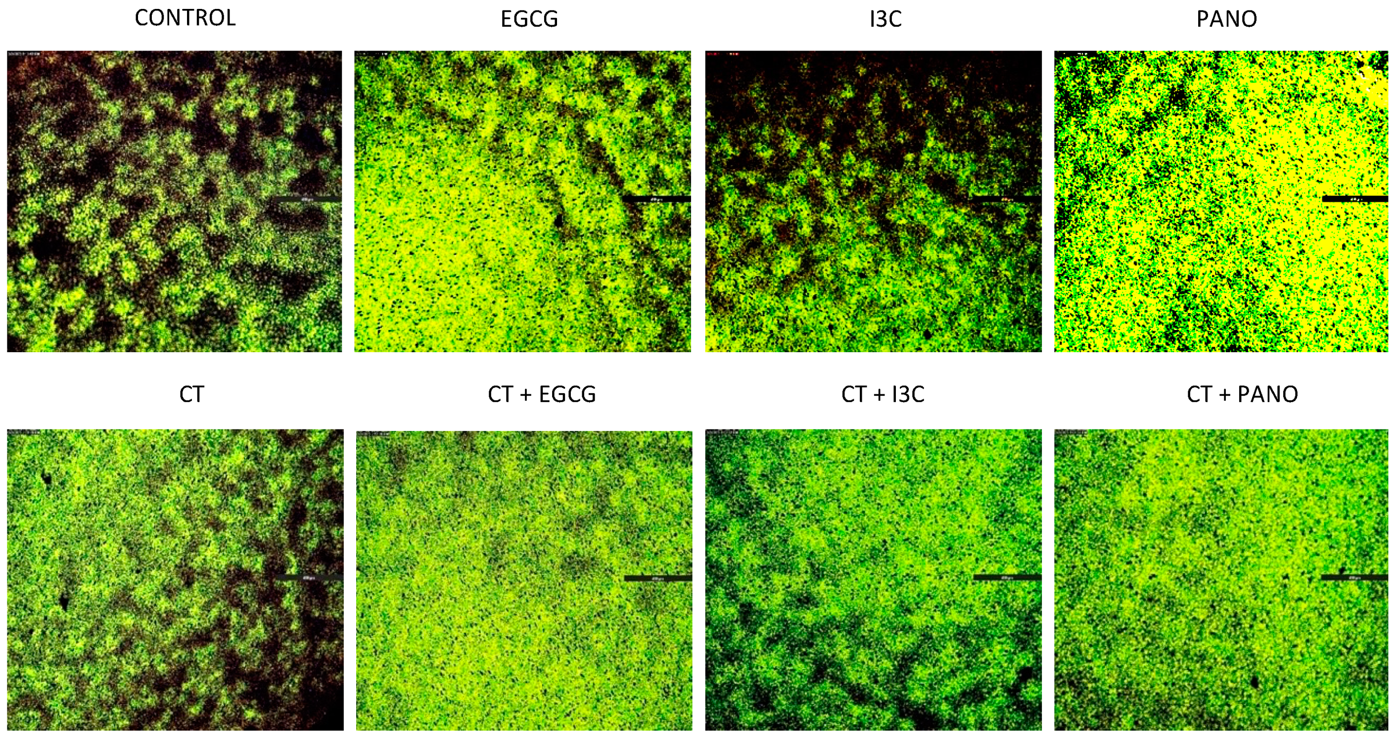Biomolecules 13 01066 g013 Biomolecules 13 01066 g013