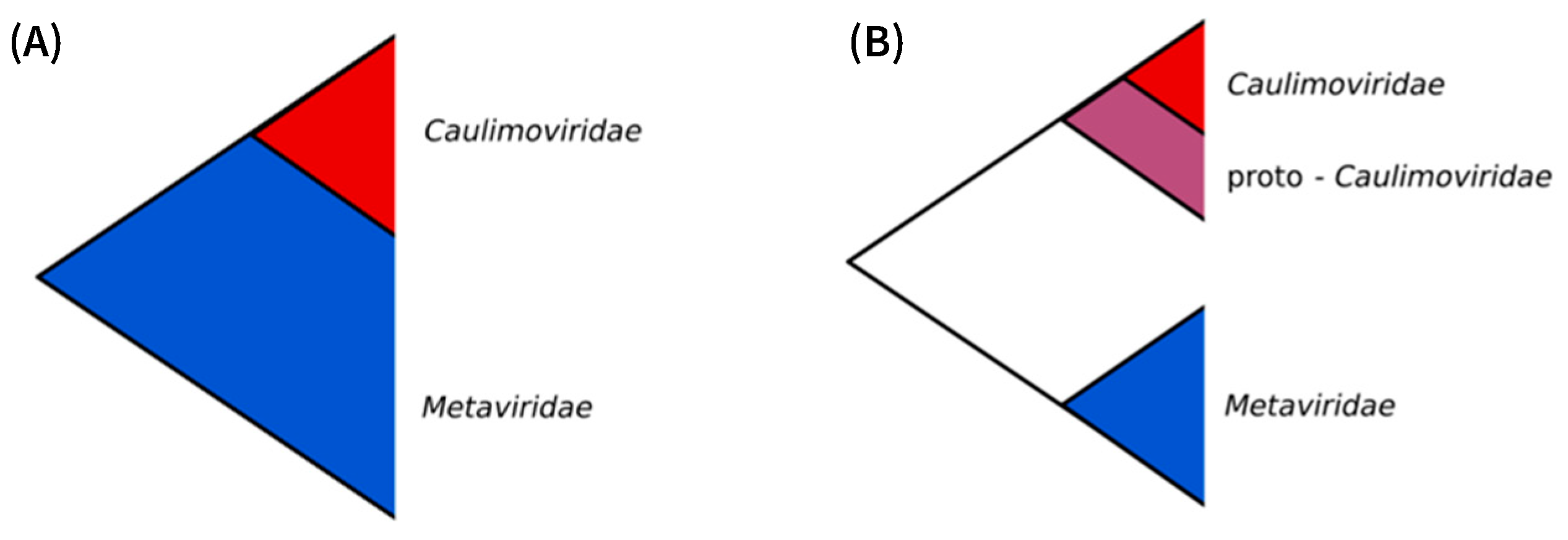 Biomolecules 13 01069 g004 Biomolecules 13 01069 g004