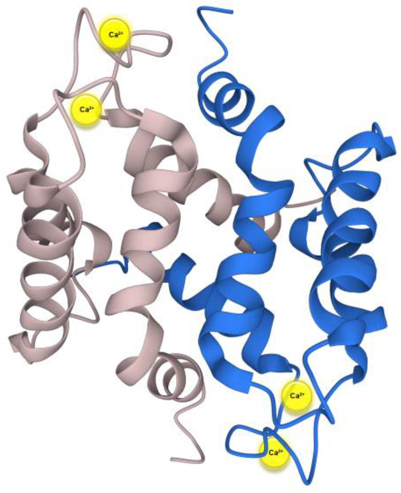Biomolecules 13 01070 g001 Biomolecules 13 01070 g001