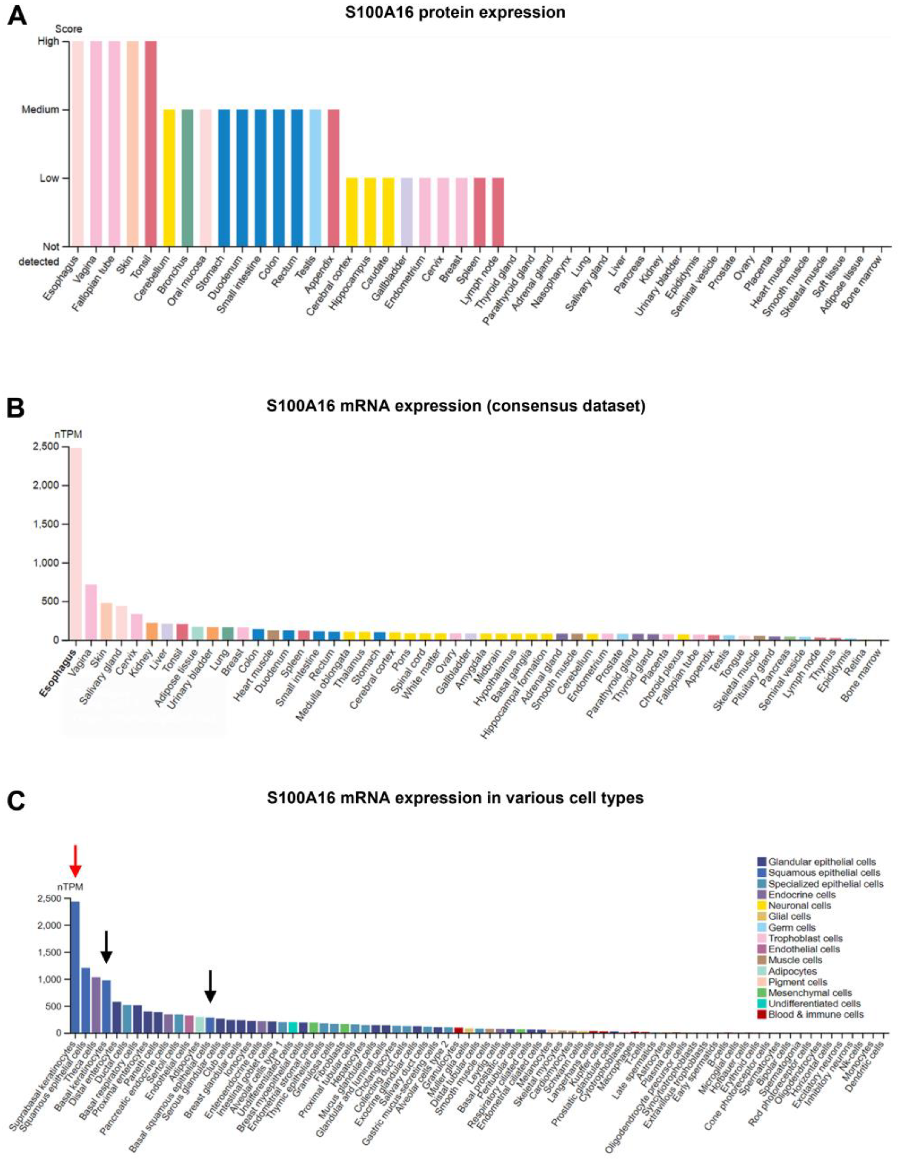 Biomolecules 13 01070 g002 Biomolecules 13 01070 g002
