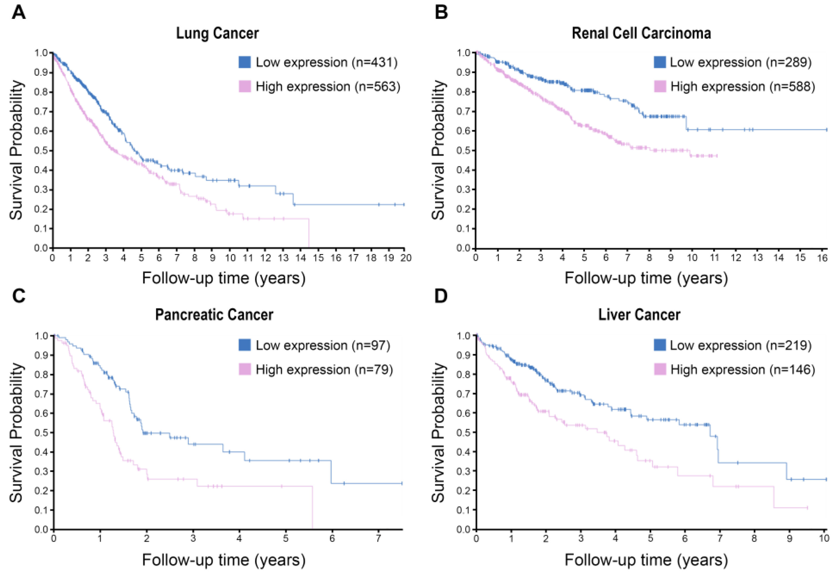 Biomolecules 13 01070 g004 Biomolecules 13 01070 g004