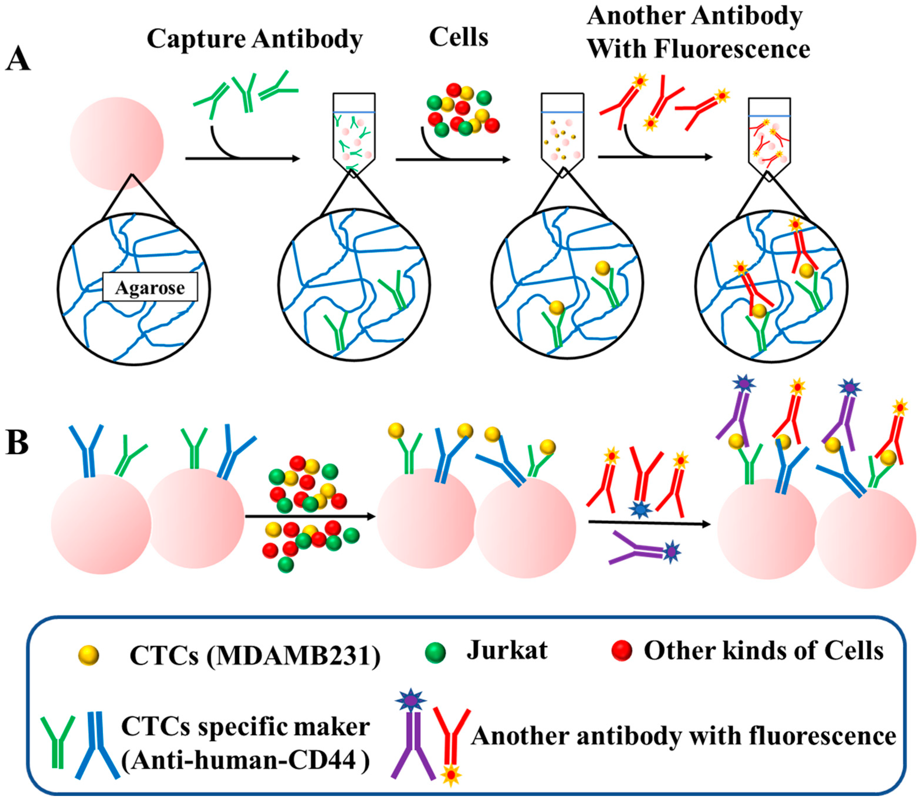 Biomolecules 13 01071 g001 Biomolecules 13 01071 g001