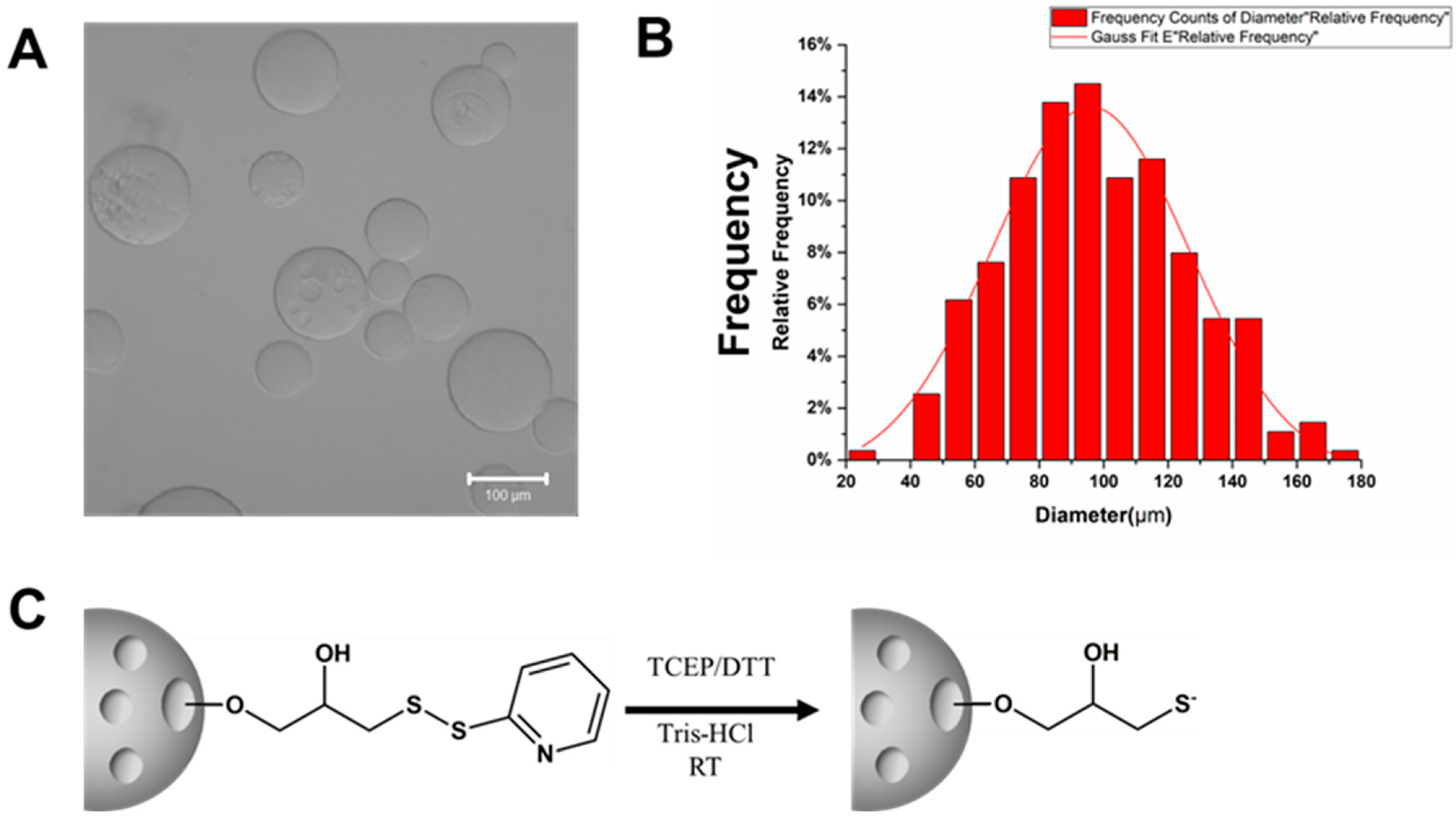Biomolecules 13 01071 g002 Biomolecules 13 01071 g002