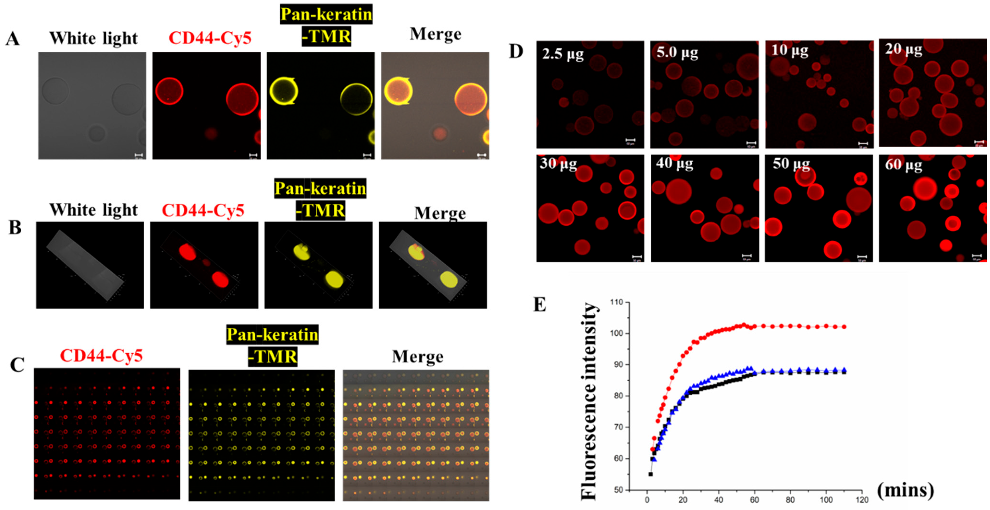 Biomolecules 13 01071 g003 Biomolecules 13 01071 g003