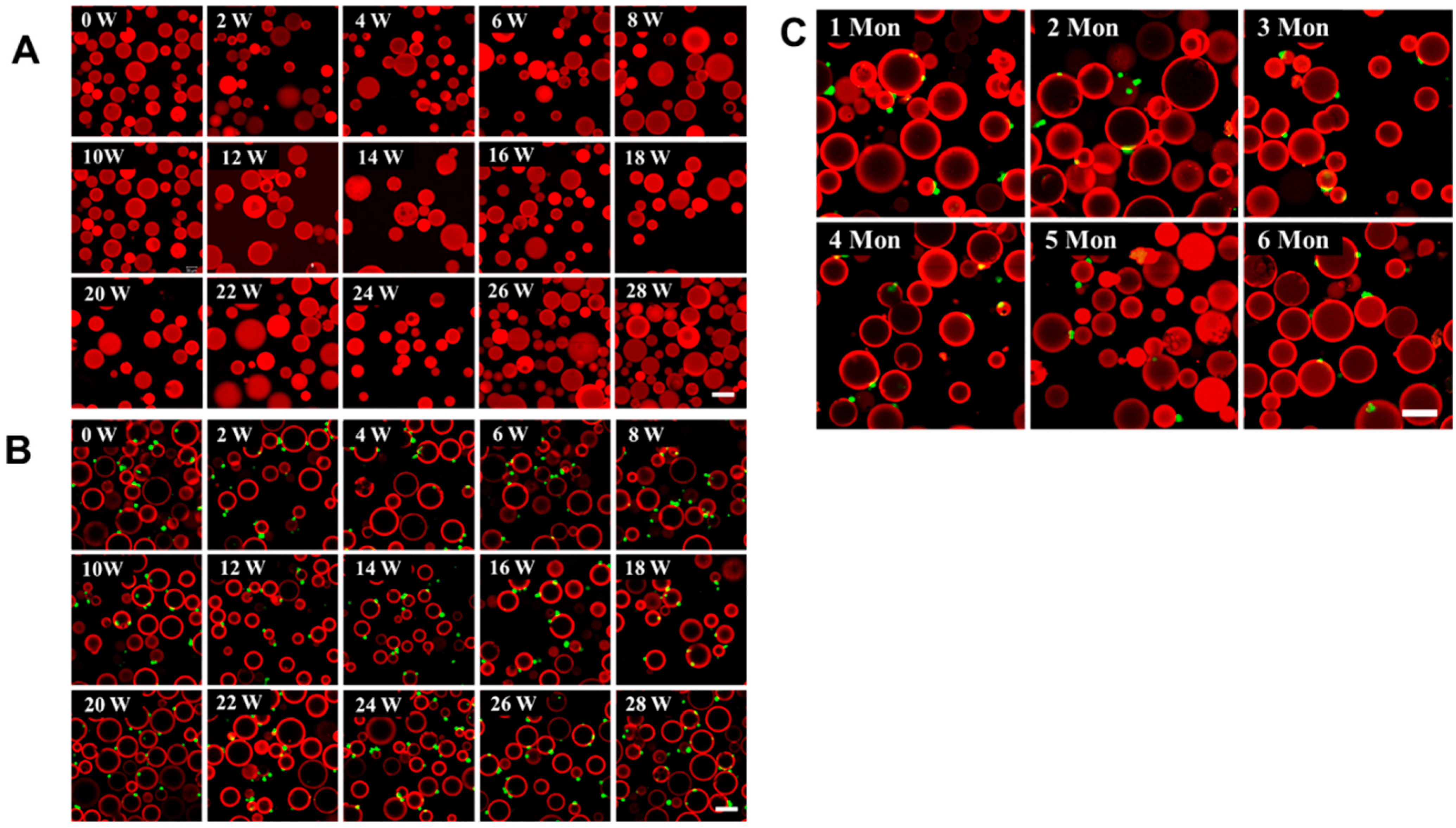 Biomolecules 13 01071 g005 Biomolecules 13 01071 g005