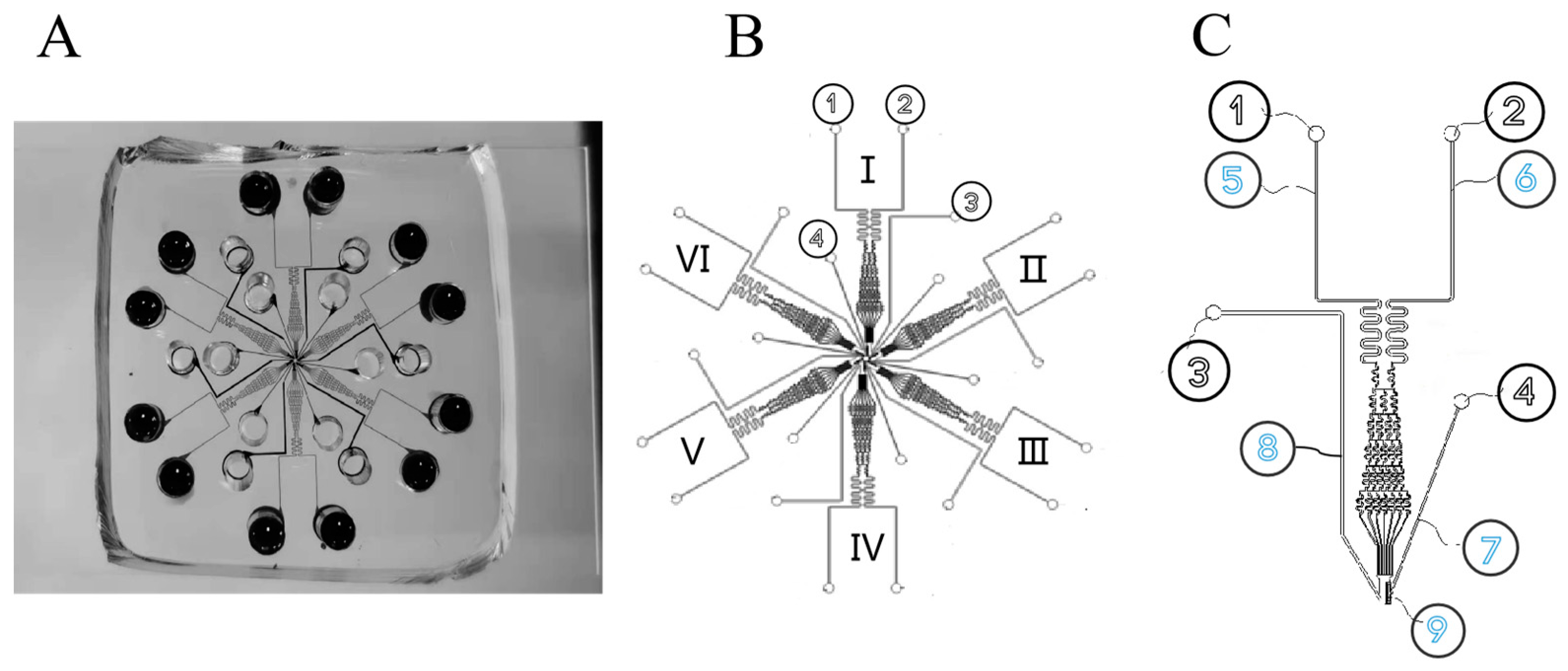 Biomolecules 13 01073 g001