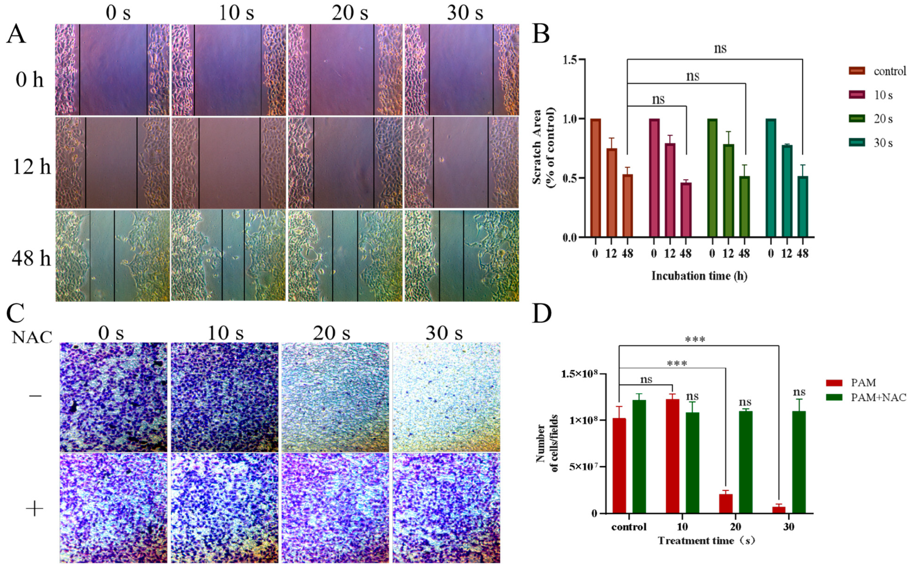 Biomolecules 13 01073 g007