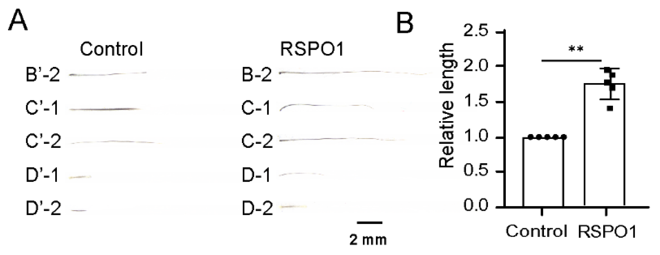 Biomolecules 13 01076 g003