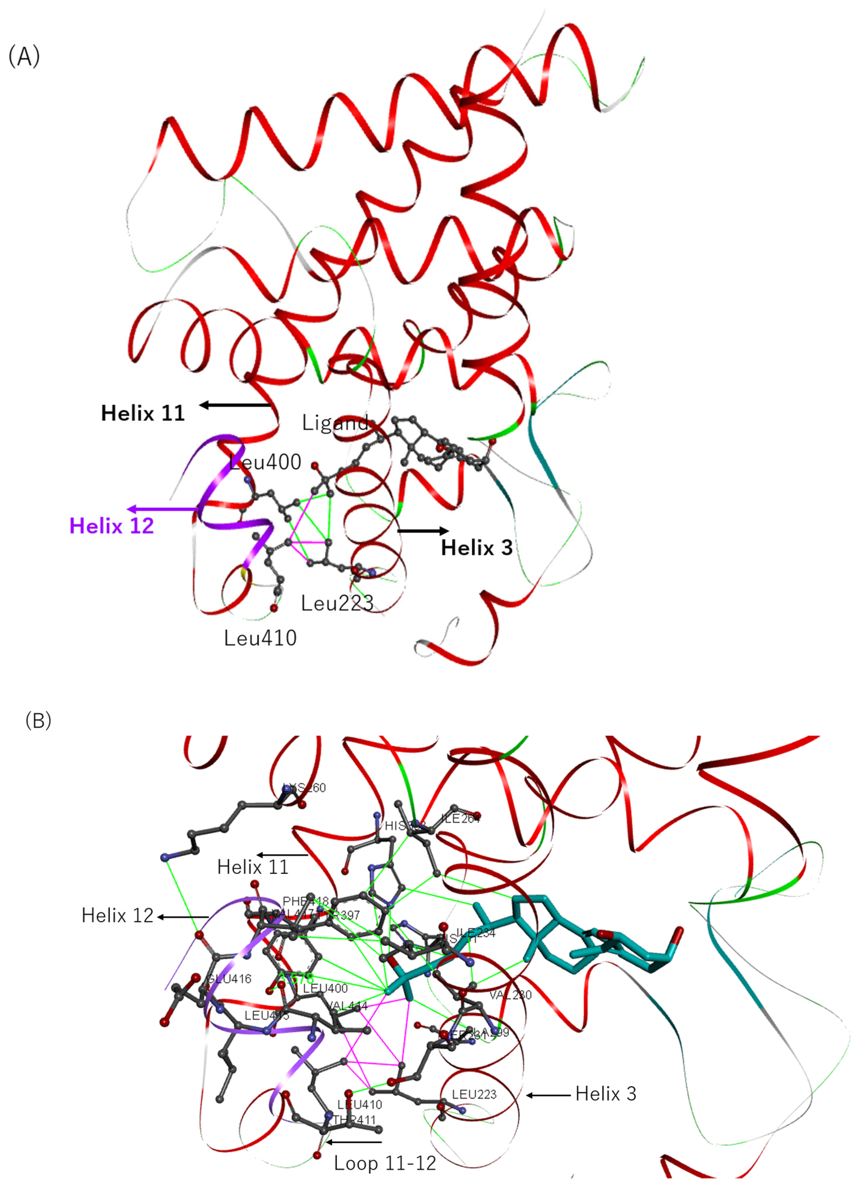 Biomolecules 13 01082 g007a Biomolecules 13 01082 g007a