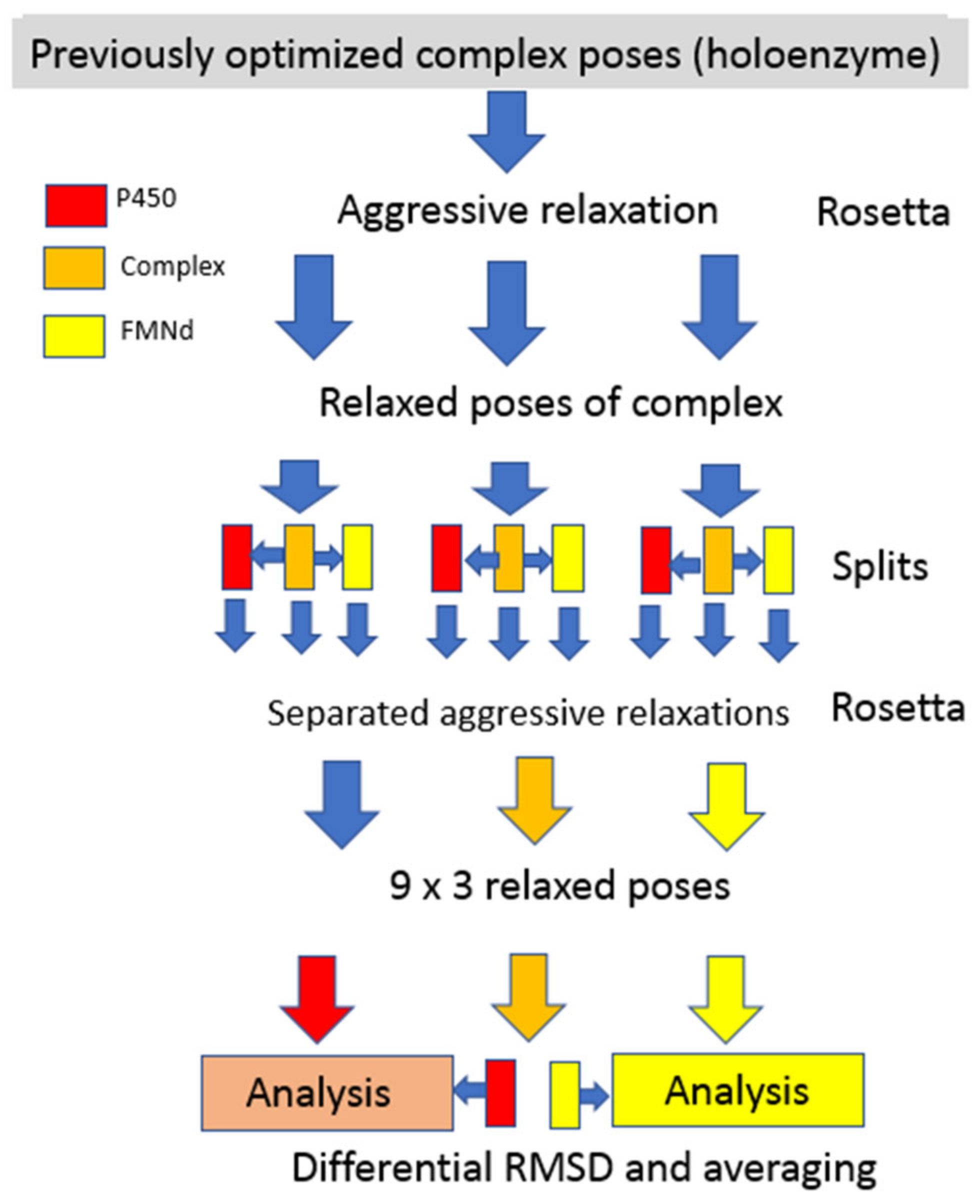 Biomolecules 13 01083 g001 Biomolecules 13 01083 g001